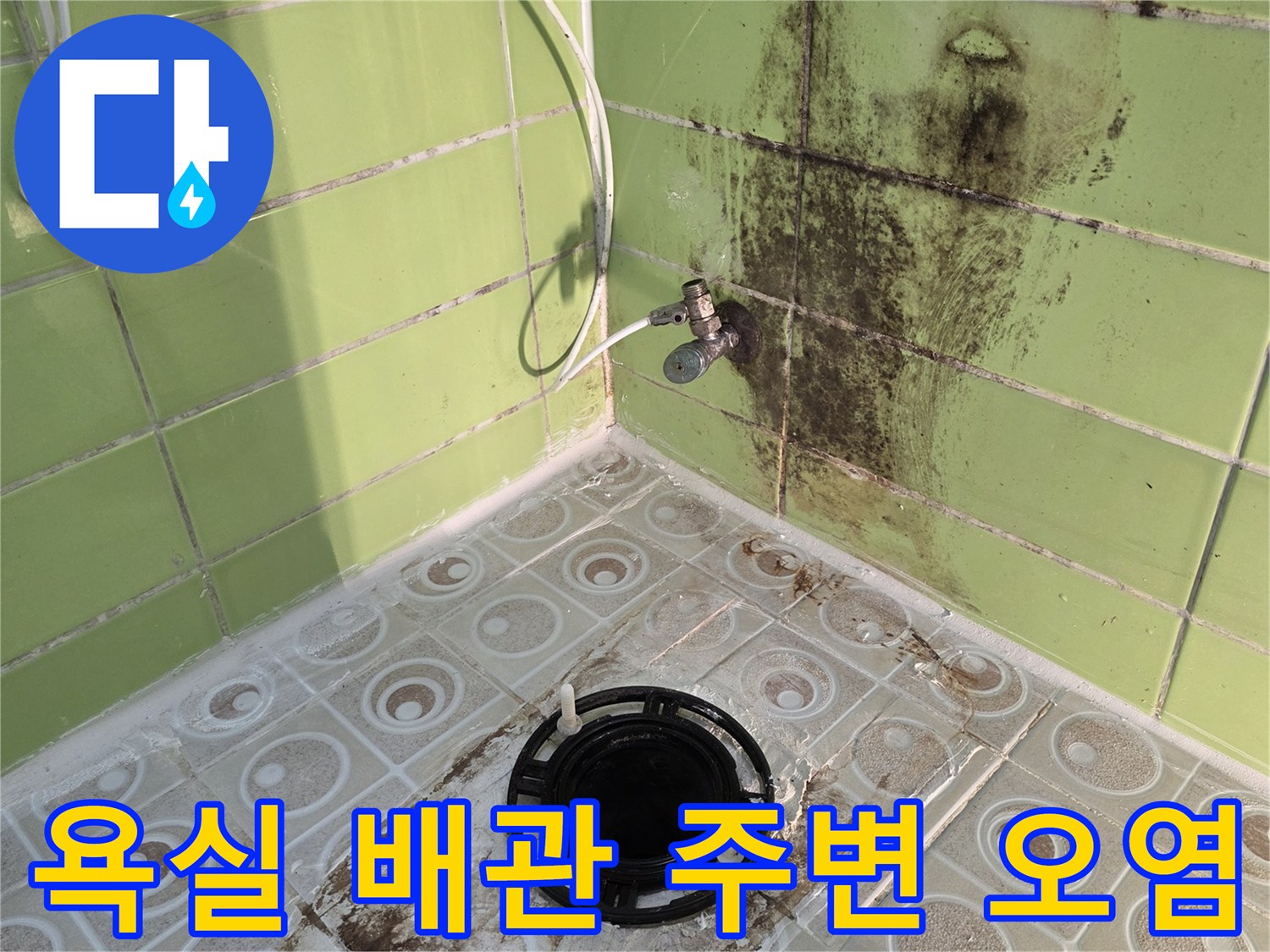 구리 수택동 화장실-곰팡이가 발생한 배수구 주변 타일