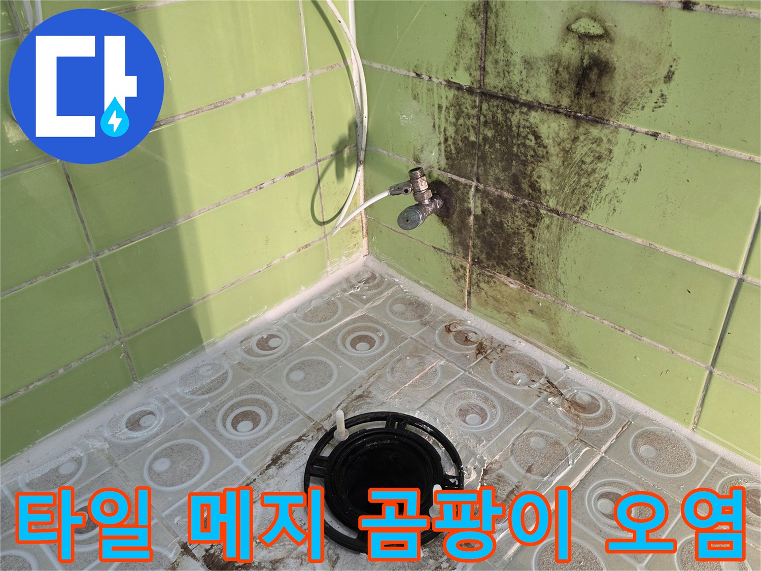 녹색 타일 사이로 퍼진 검은 곰팡이와 물샘 자국