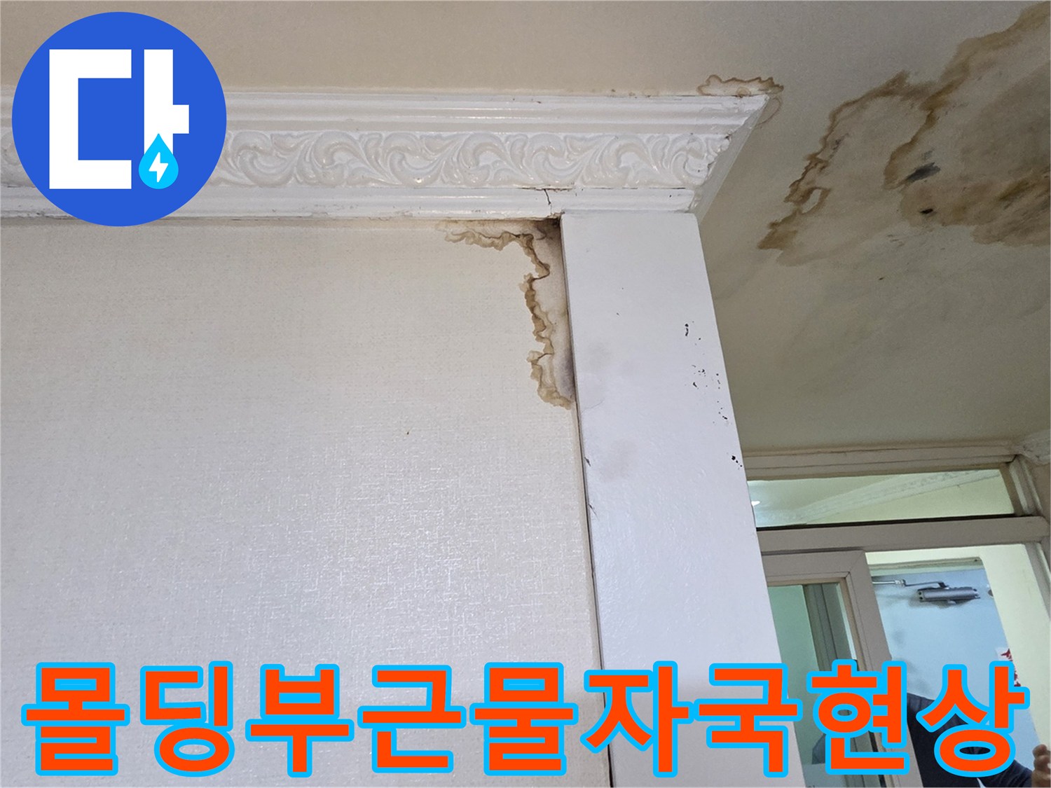 천장-몰딩-경계면에-발생한-누수-흔적과-습기