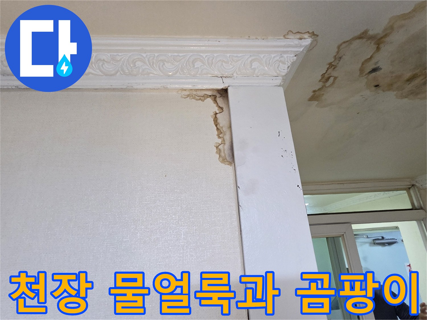 천장 몰딩 부근-심한 물 얼룩 및 곰팡이 발생 현황