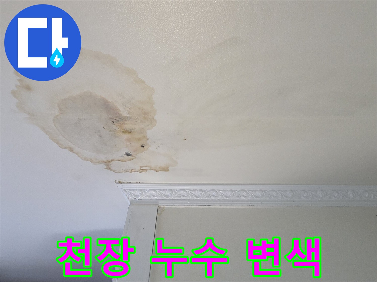 천장-벽면-경계에-발생한-심한-물얼룩-사진