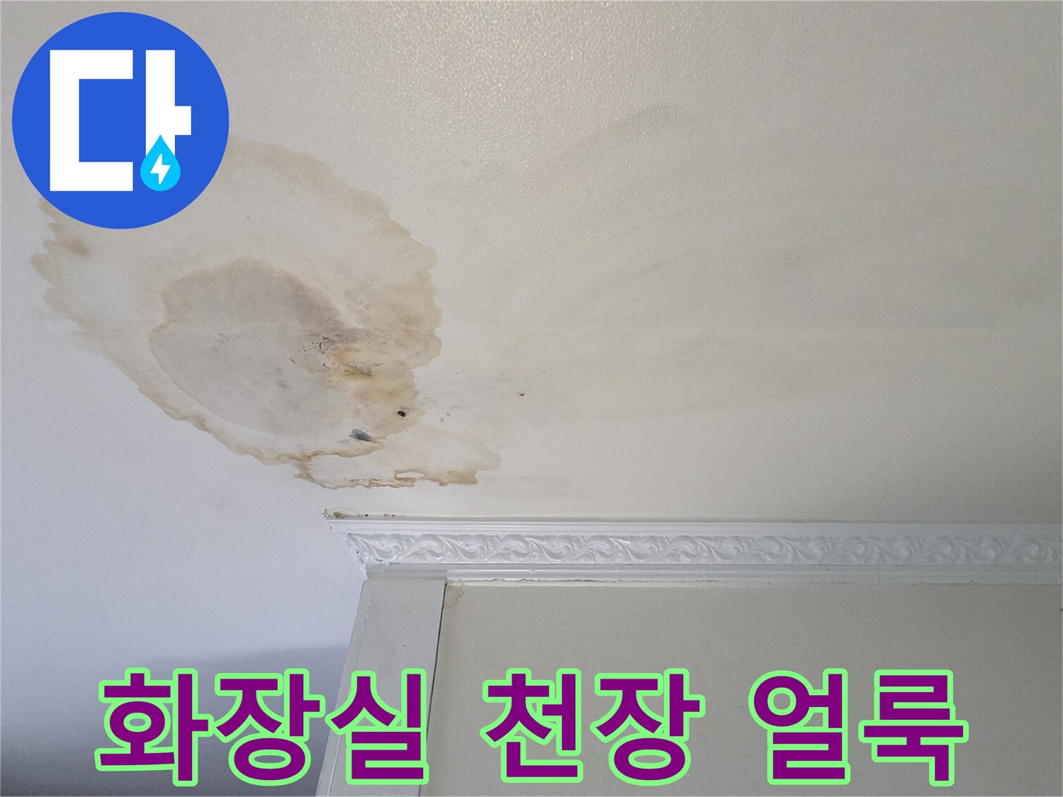 화장실 천장 벽면에 발생한 넓은 물 얼룩과 변색 상태