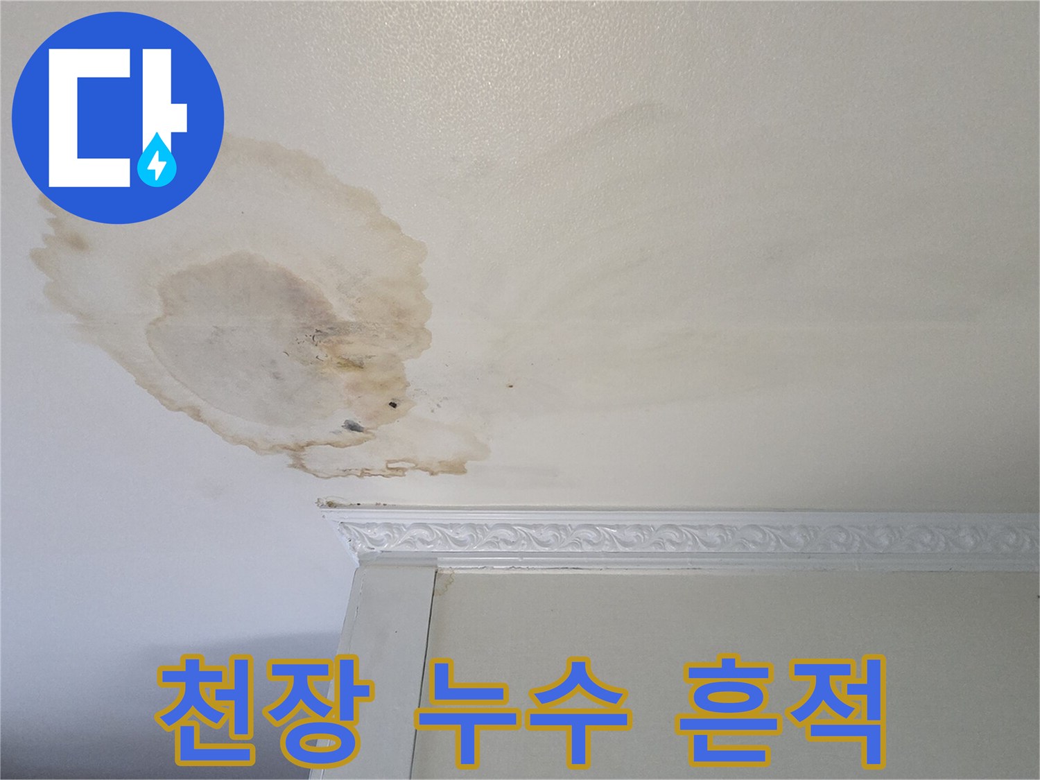 화장실 천장 부근-물에 젖어 번진 얼룩
