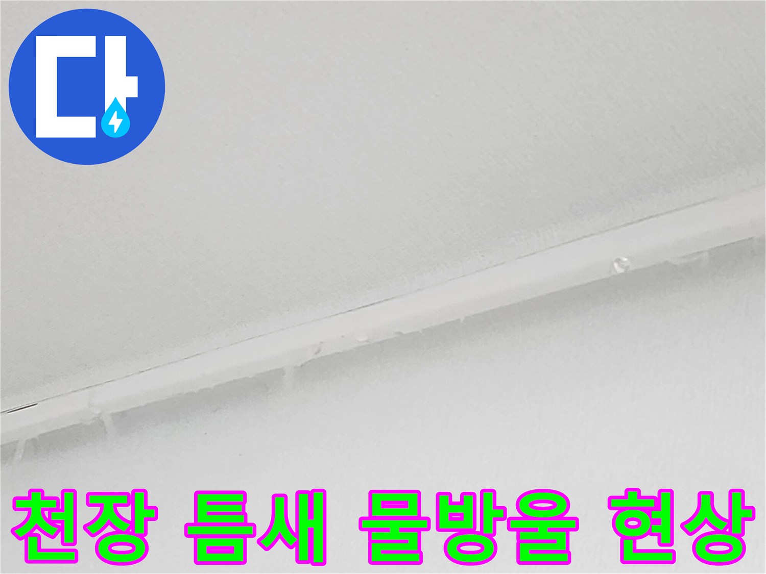 아랫집 천장 라인 - 물기가 머물러 있는 천장 이음새 부분