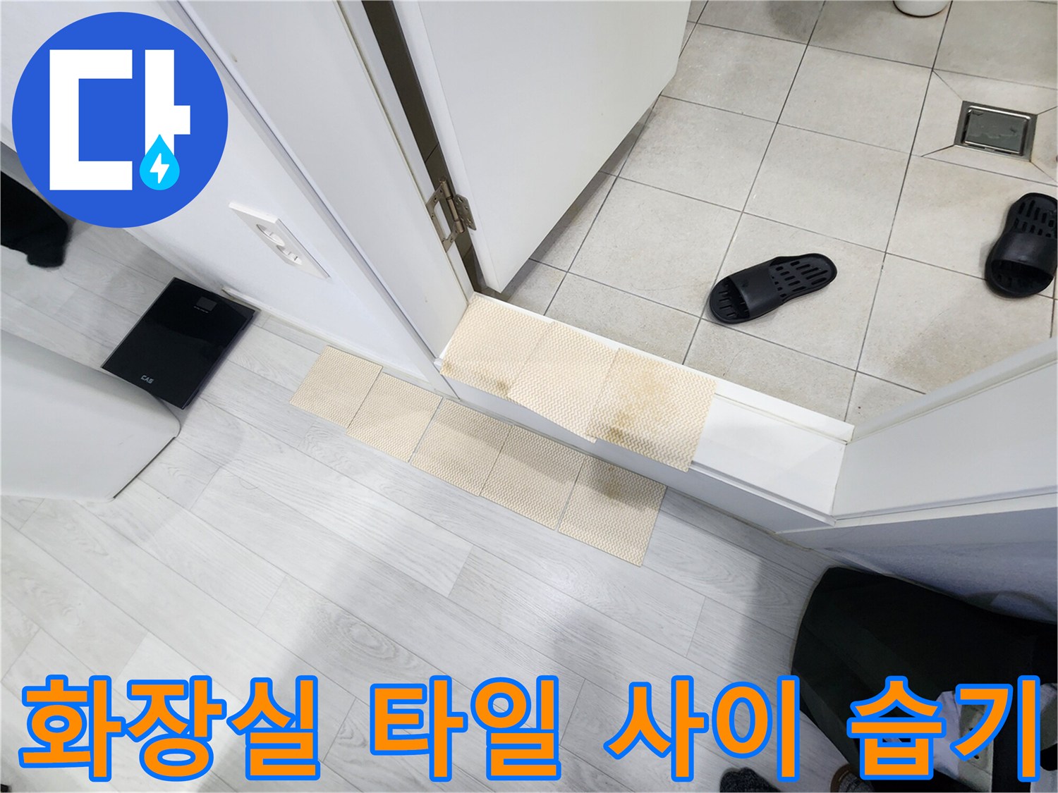 화장실-입구-타일-사이의-습윤한-상태