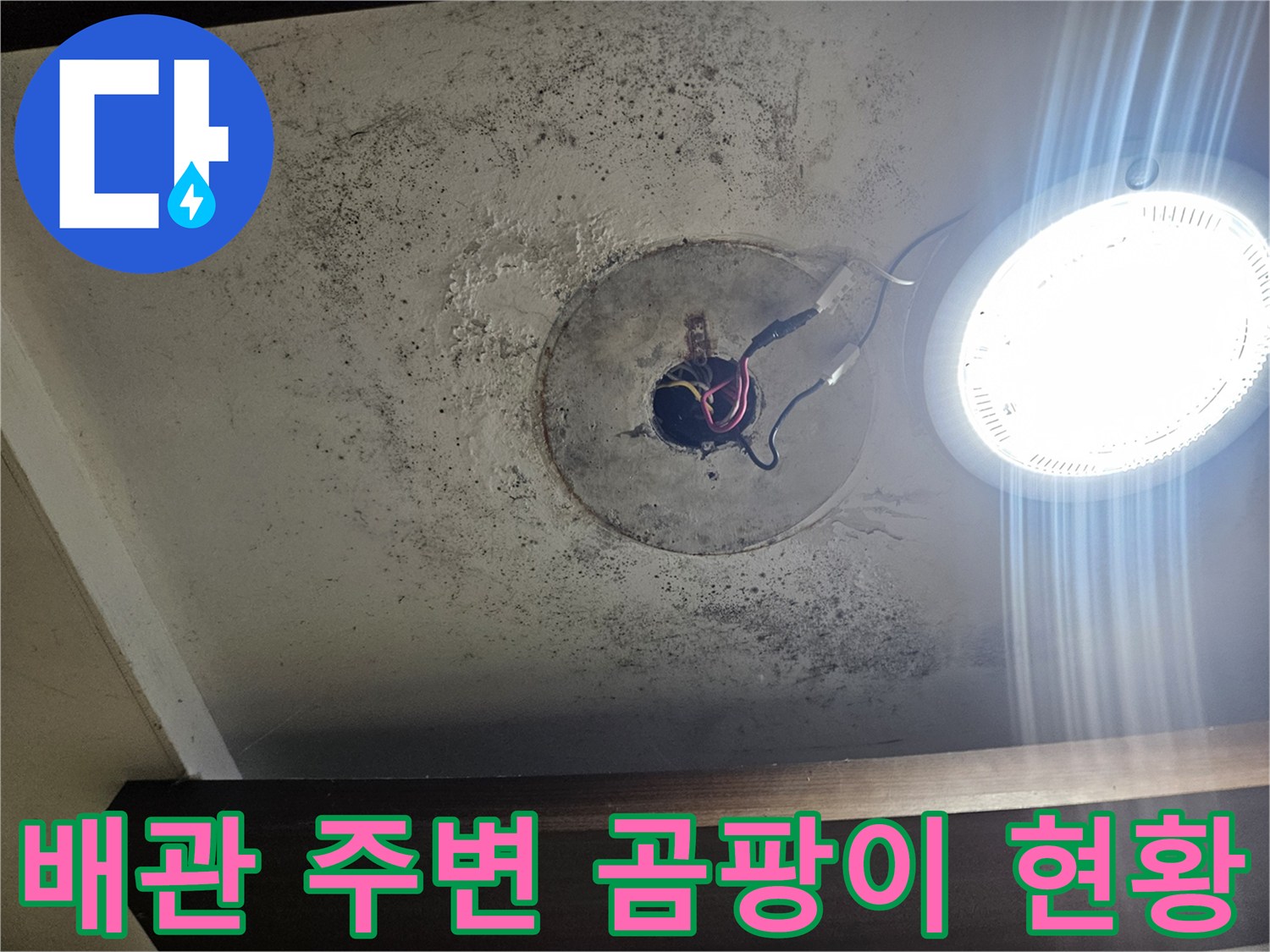 천장 매립 배관 주위의 심한 곰팡이 오염 상태
