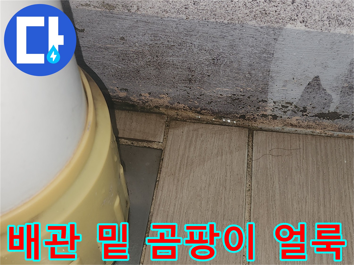 배관 접합부 근처-물때와 곰팡이가 번진 벽면
