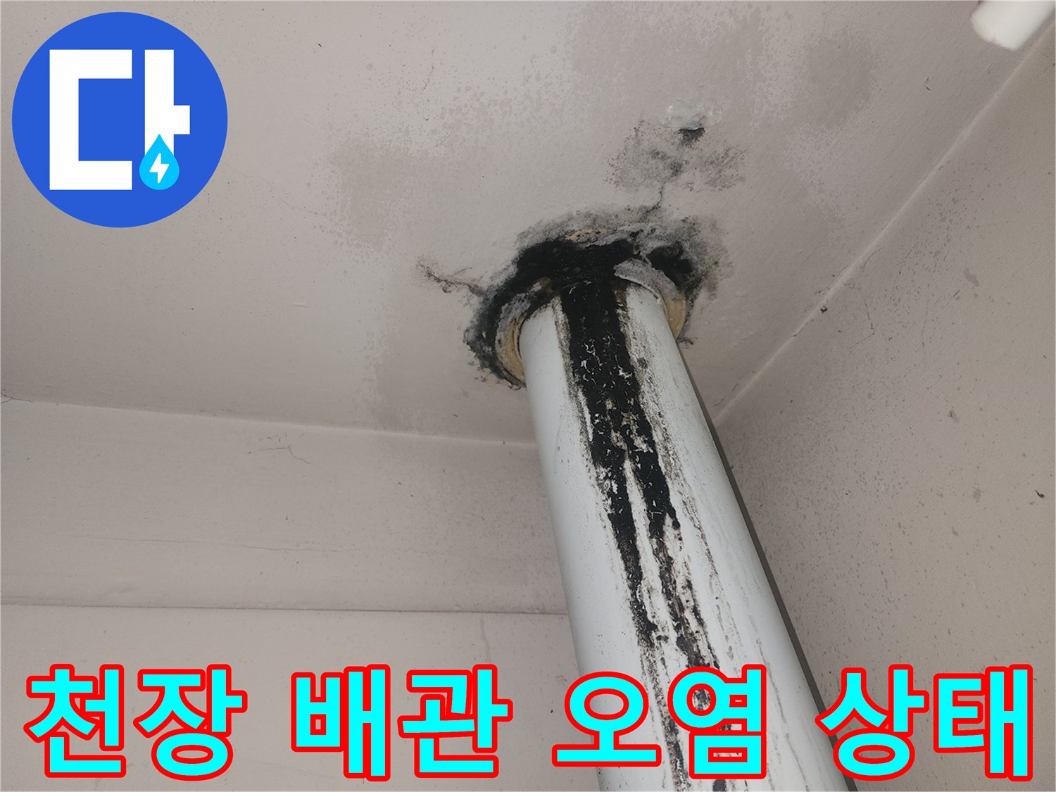 배관 주변-곰팡이로 인한 천장 변색