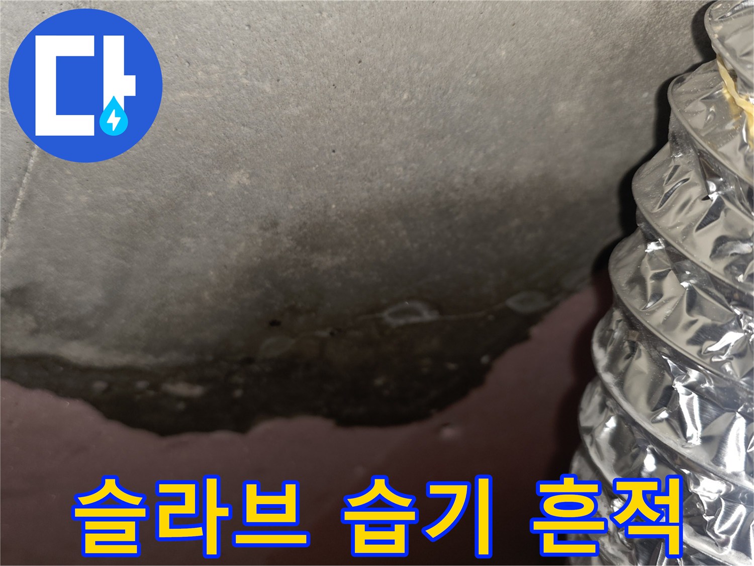 물기에 젖어 변색된 천장 슬라브 표면