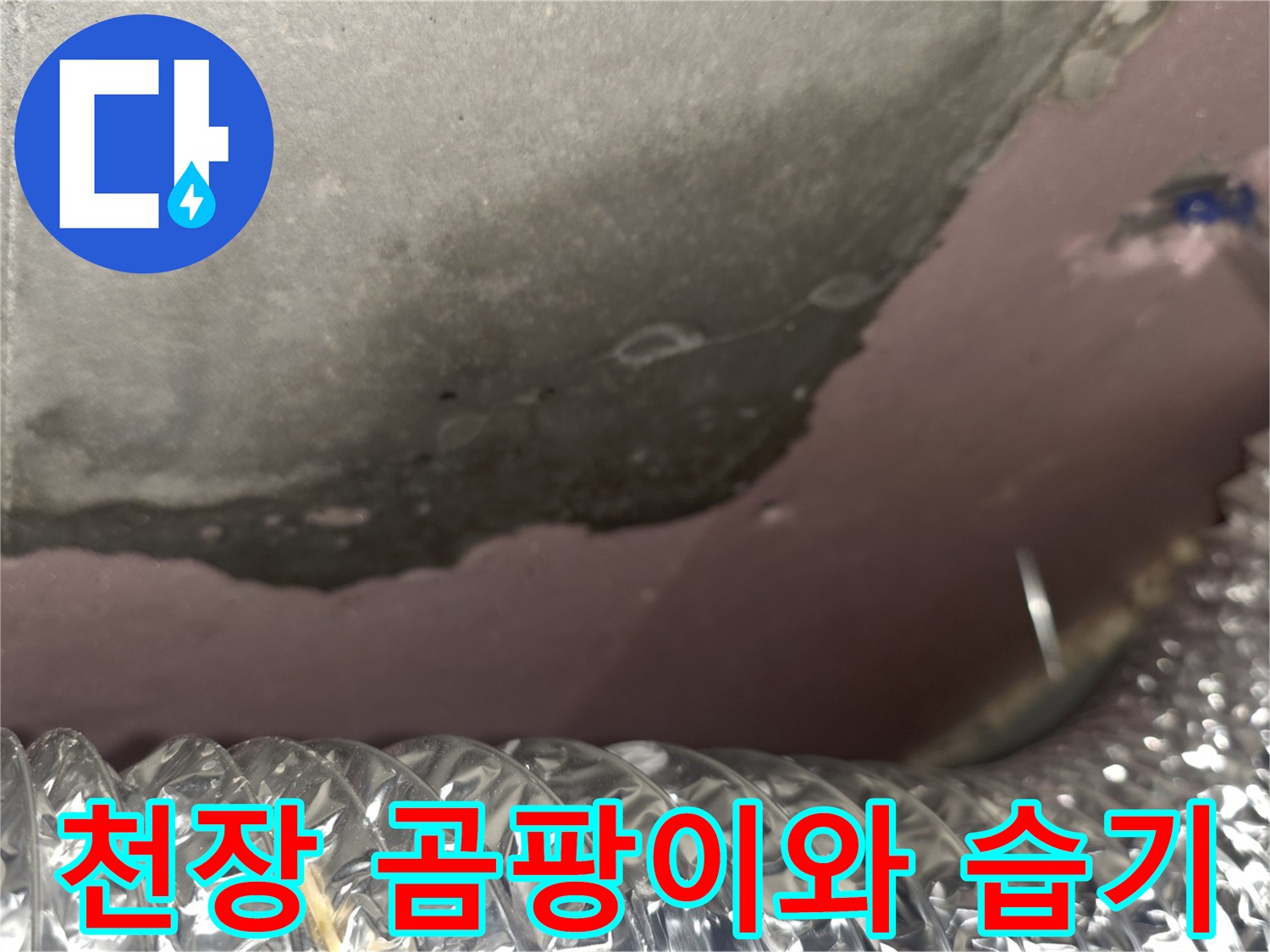 신축 아파트-천장 슬라브-곰팡이 발생 상태