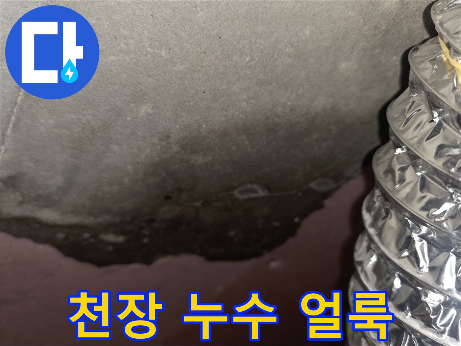 신축 아파트 천장 슬라브의 곰팡이와 습기 흔적