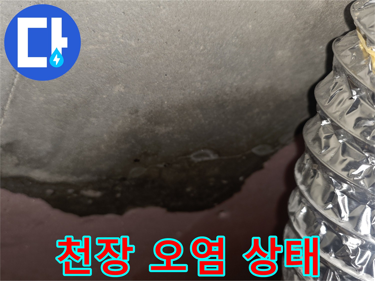 아파트-천장-슬라브-부근의-누수-흔적과-곰팡이-오염