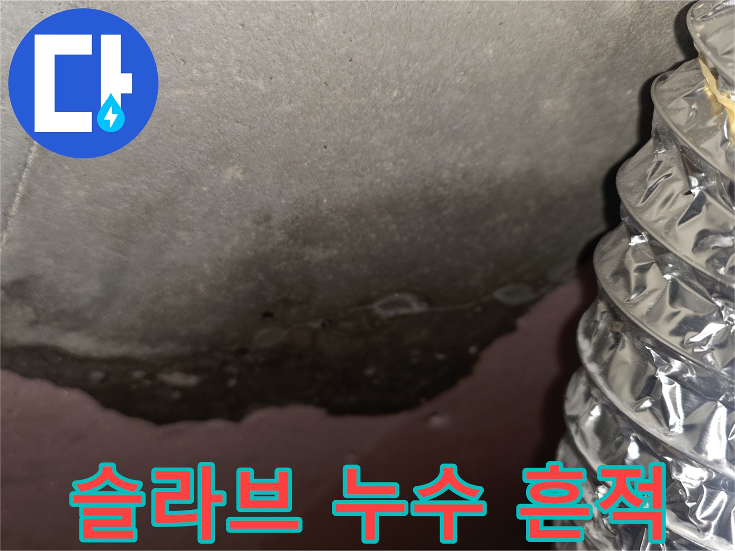 천장-슬라브-층의-누수-및-얼룩-현황