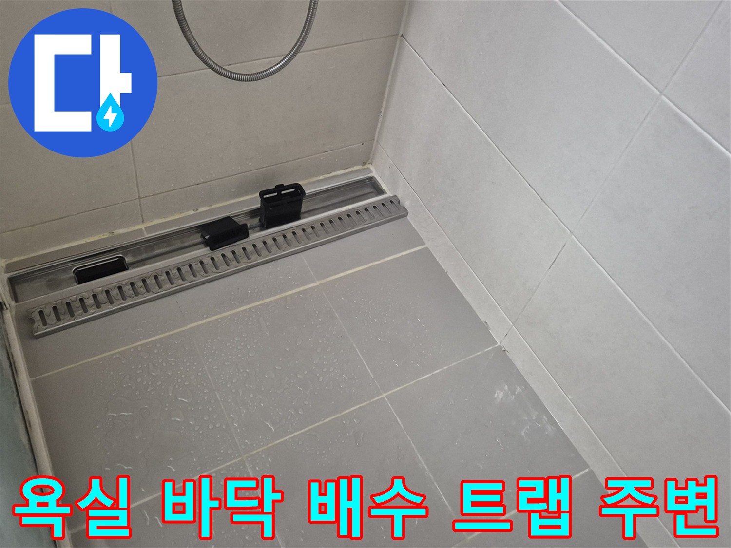 양주 고읍동-화장실 배수구 주변부 정밀 점검