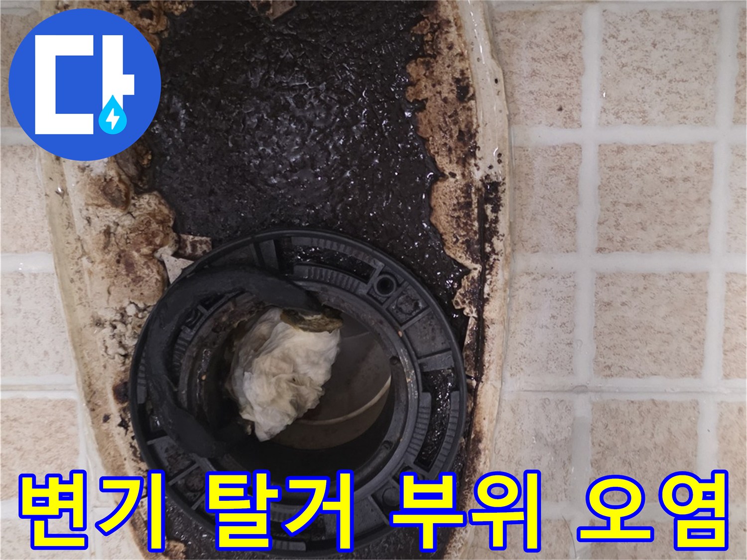 변기 아래 배관 주위에 쌓인 이물질과 젖은 타일