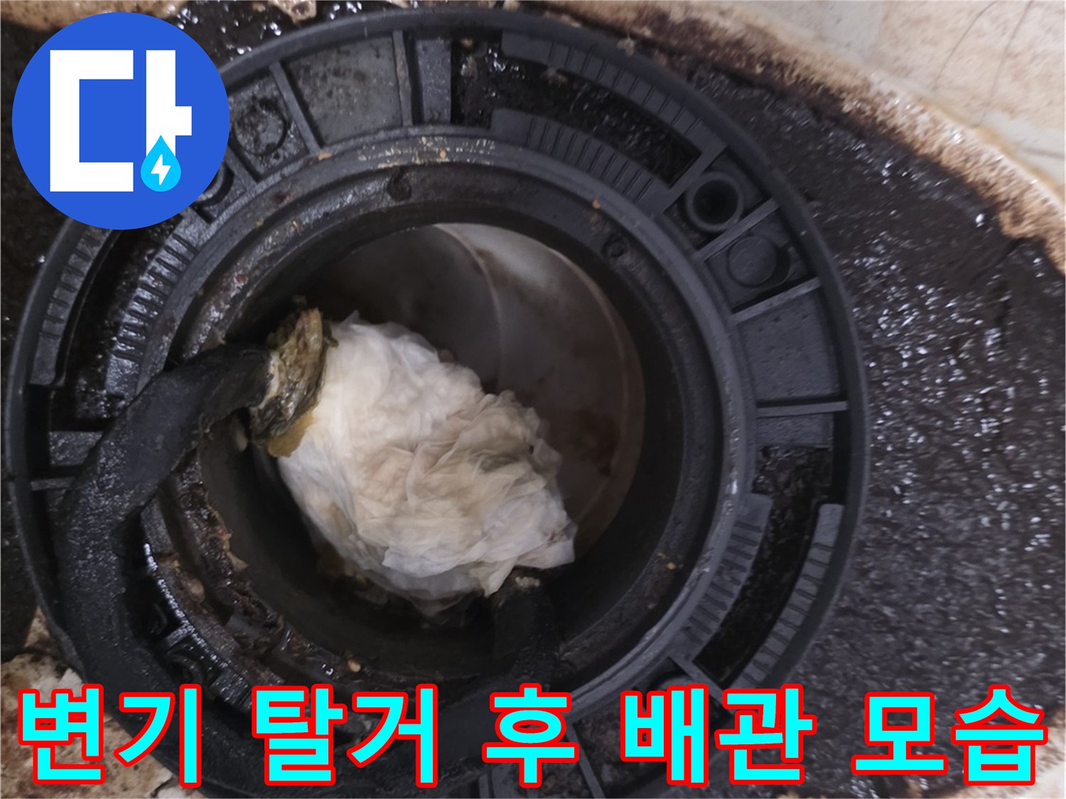변기를 제거한 후 드러난 오염된 오수관 주변 현장
