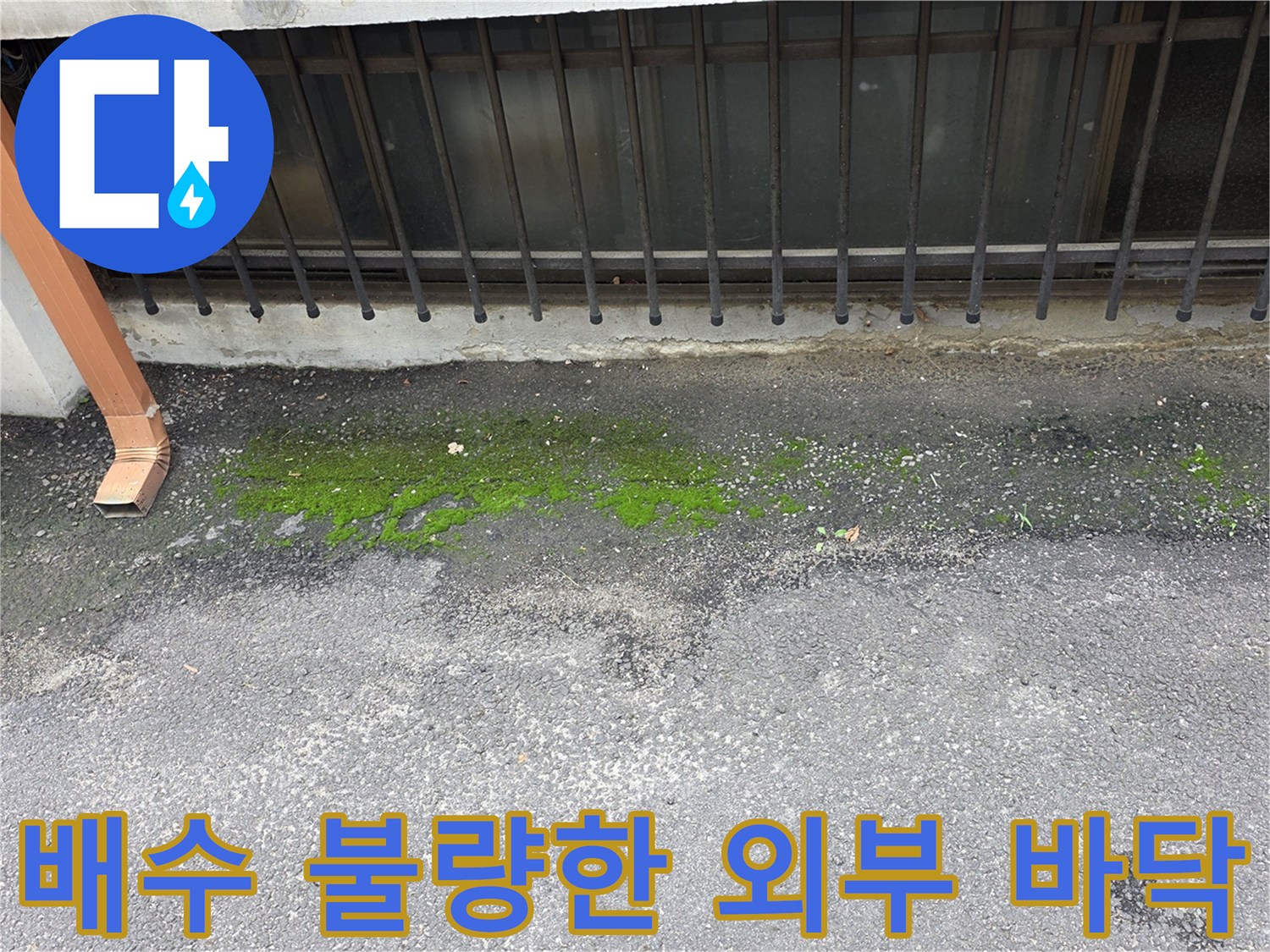 물이 고여 이끼가 생긴 배관 주변 지면 상태