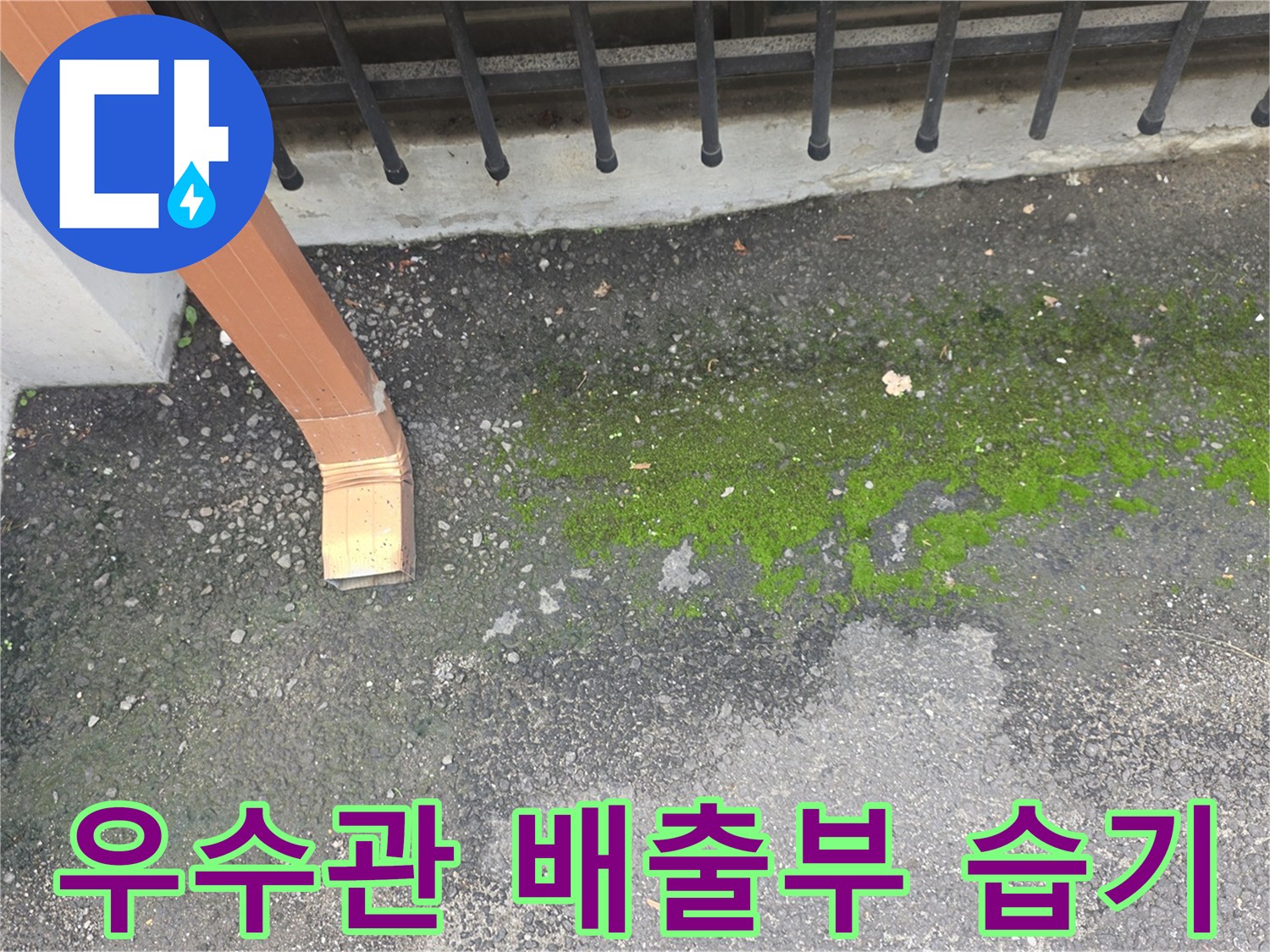 물이-빠지지-않아-이끼가-자라난-지면-상태