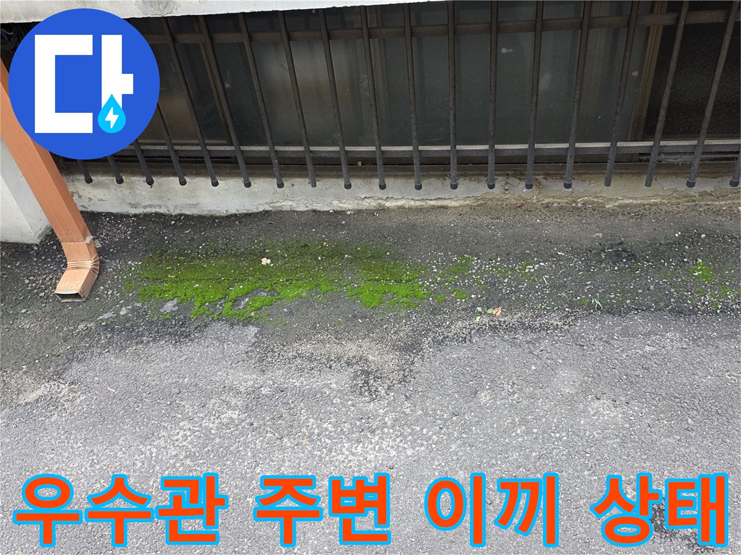 배수 불량 우수관-주변 지면의 습윤 상태