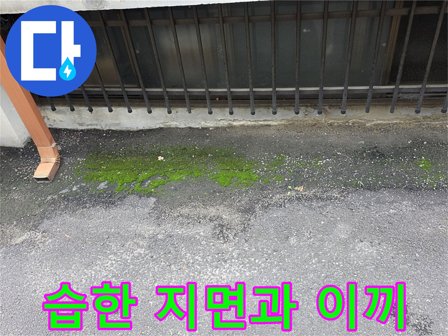 지하 입구-물샘으로 인한 이끼 발생 현장