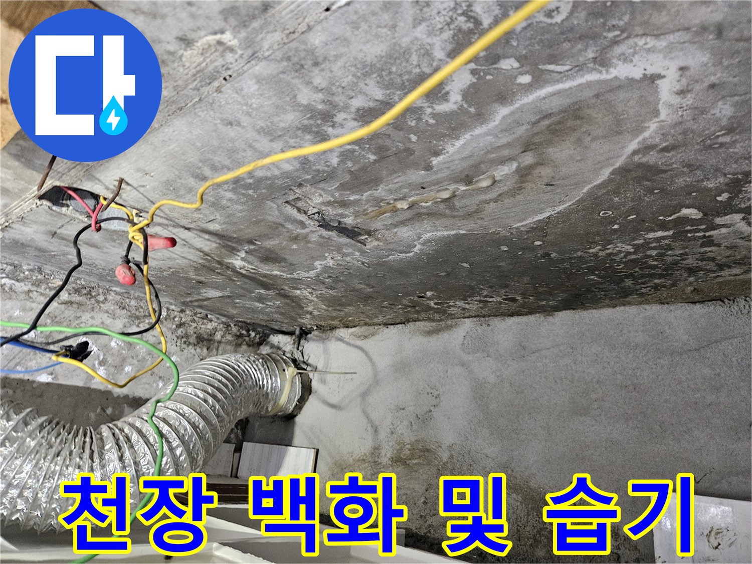 물샘 현상으로 인해 하얗게 변색된 천장 콘크리트 표면