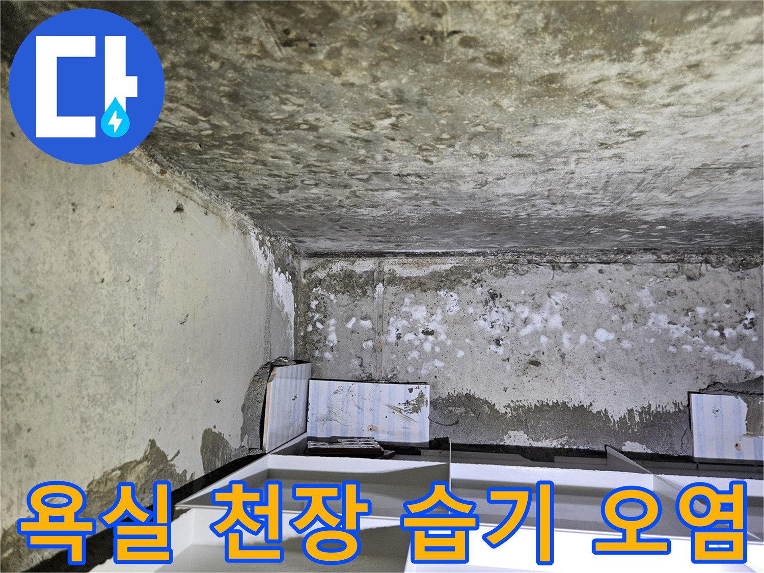 습기로 인해-오염된 화장실-천장 콘크리트 면