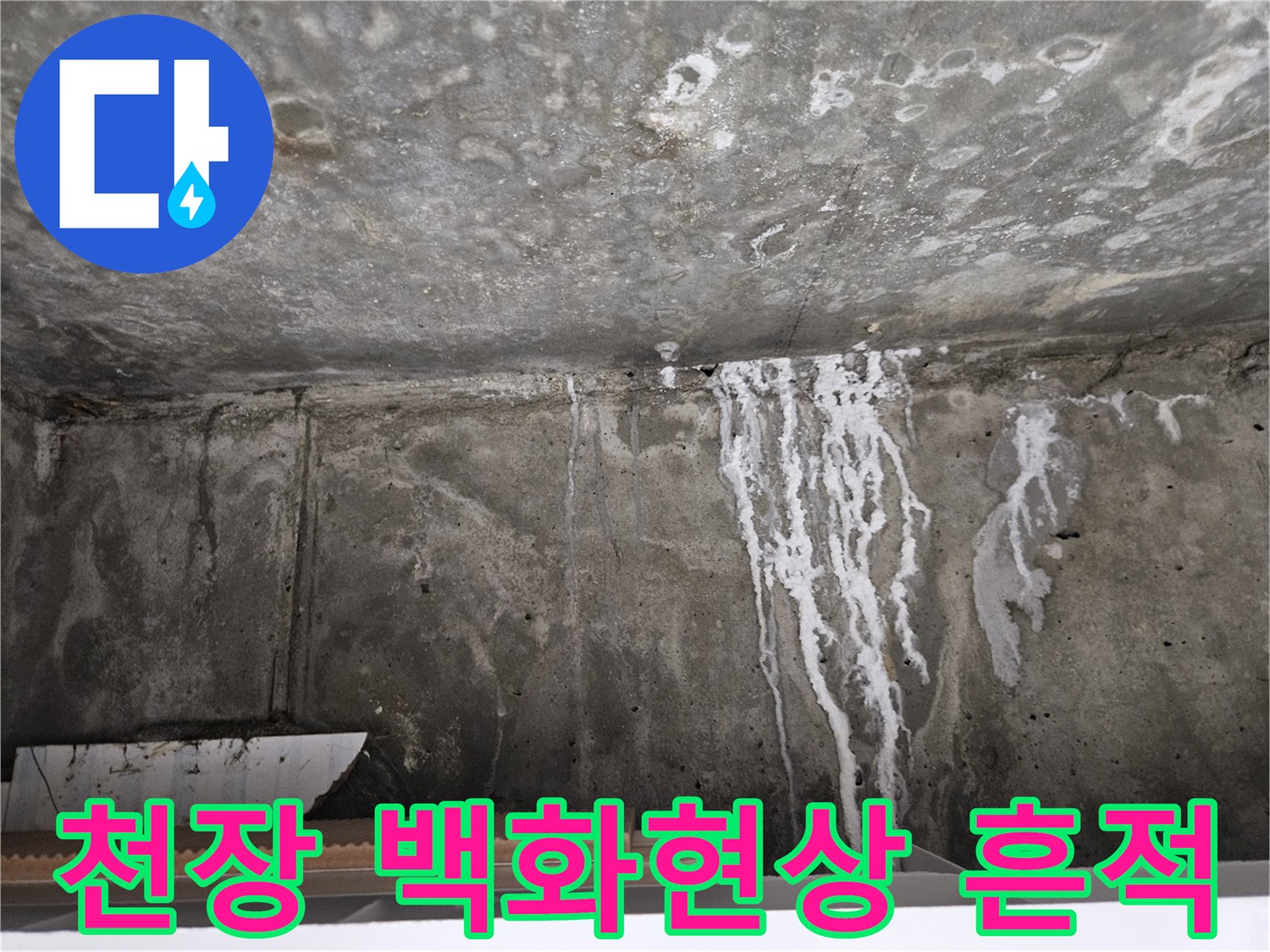 아래층 화장실-천장 콘크리트의-백화 현상과 누수 흔적
