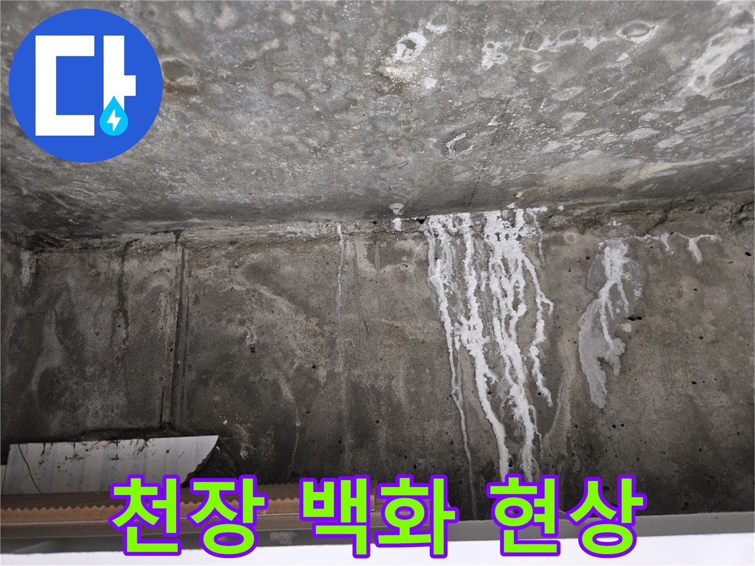 아래층 화장실 천장에 하얗게 발생한 백화 현상과 물기 흔적