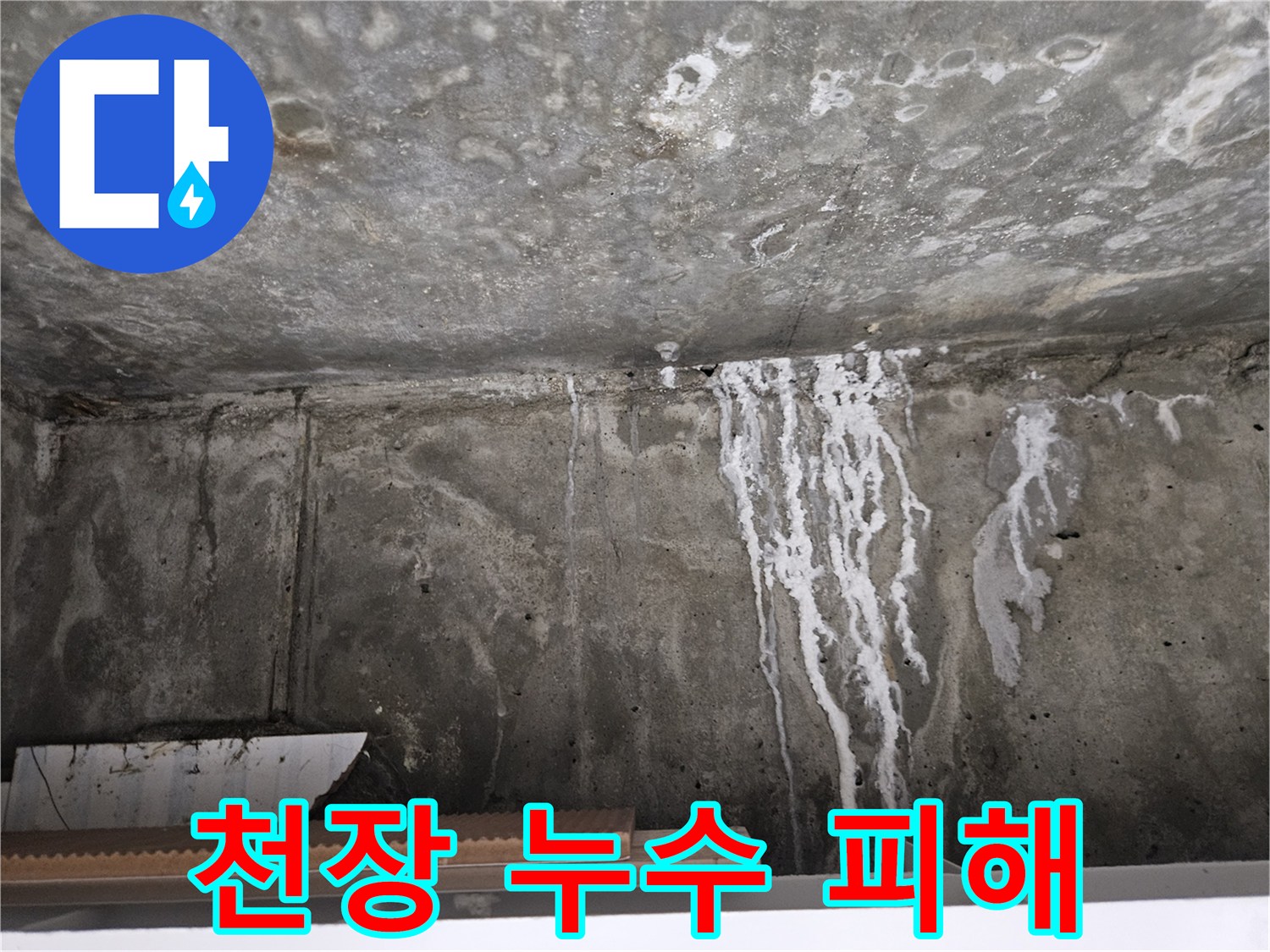 하얀색 석회 자국이 남은 천장 콘크리트 벽면