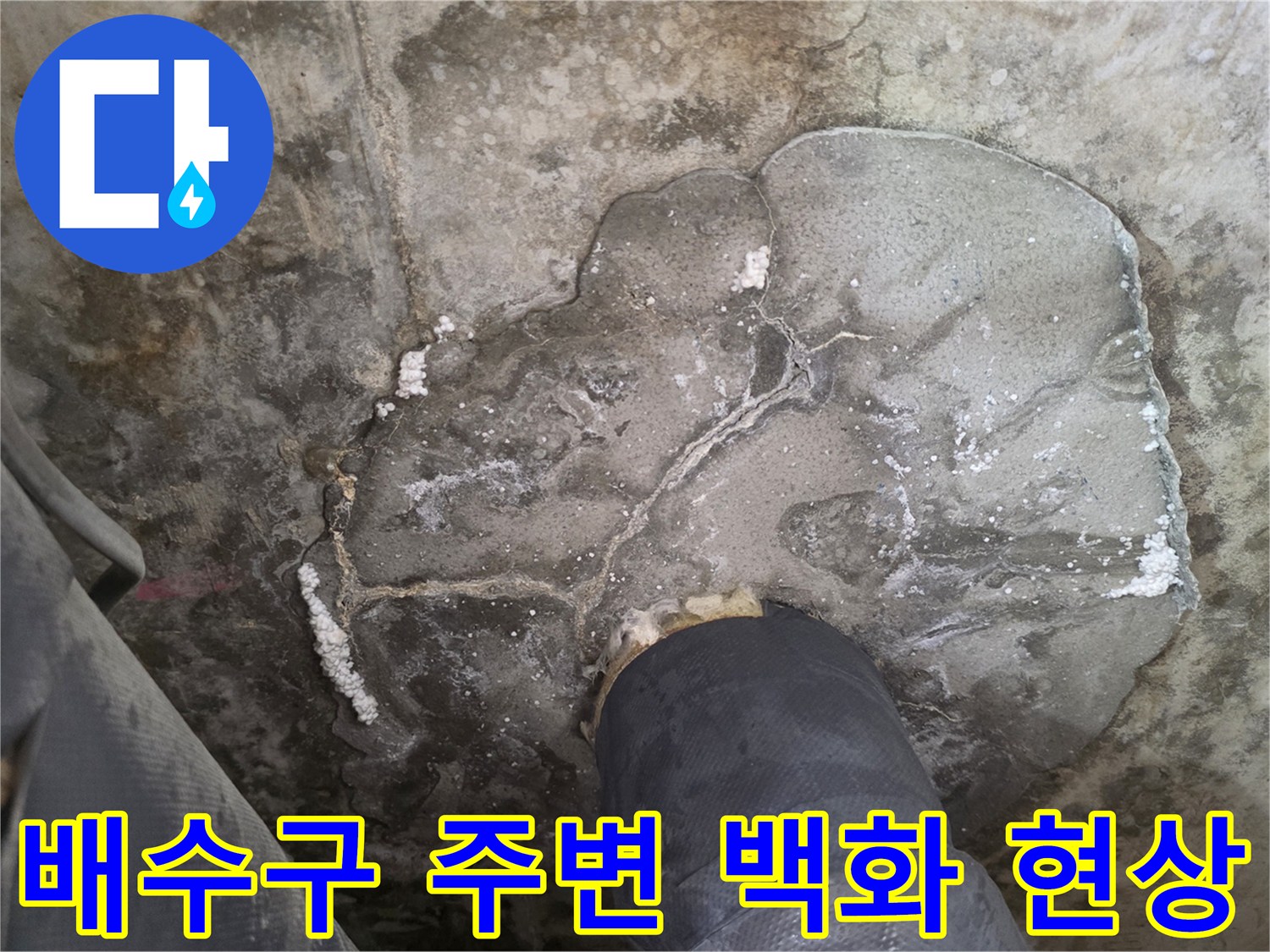화장실-배수구-주변-백화-및-슬라브-오염-사진