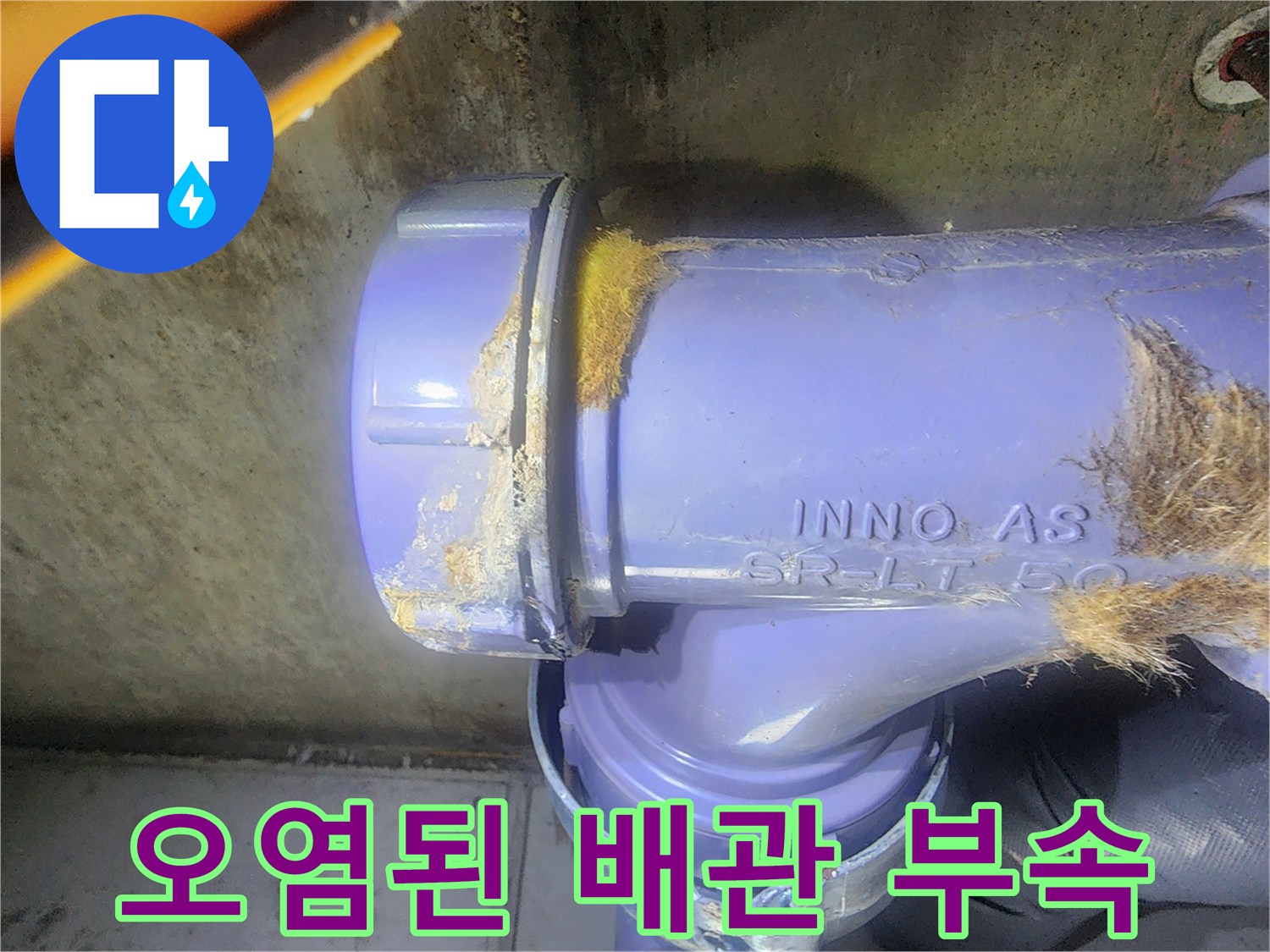 물샘 흔적이 선명한 보라색 오수 배층 연결부