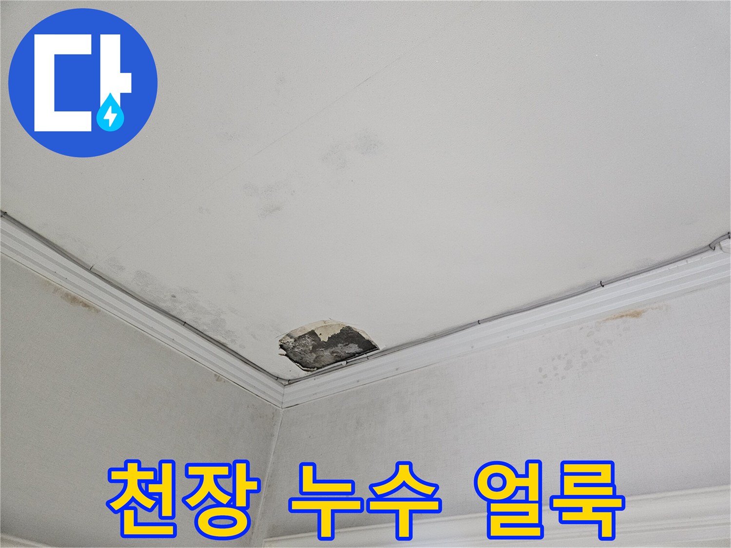 도봉구 아파트-물샘으로 인한 천장 얼룩과 파손
