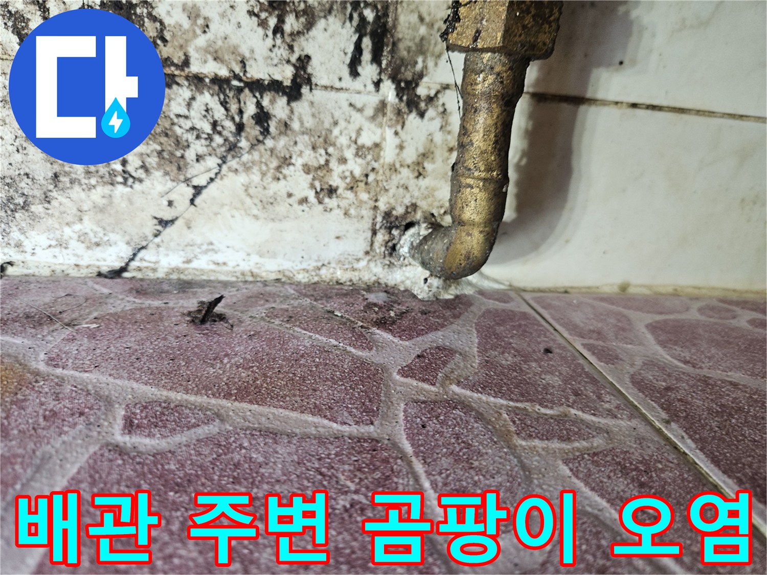 배관-연결부-주변의-심한-물때와-곰팡이-발생
