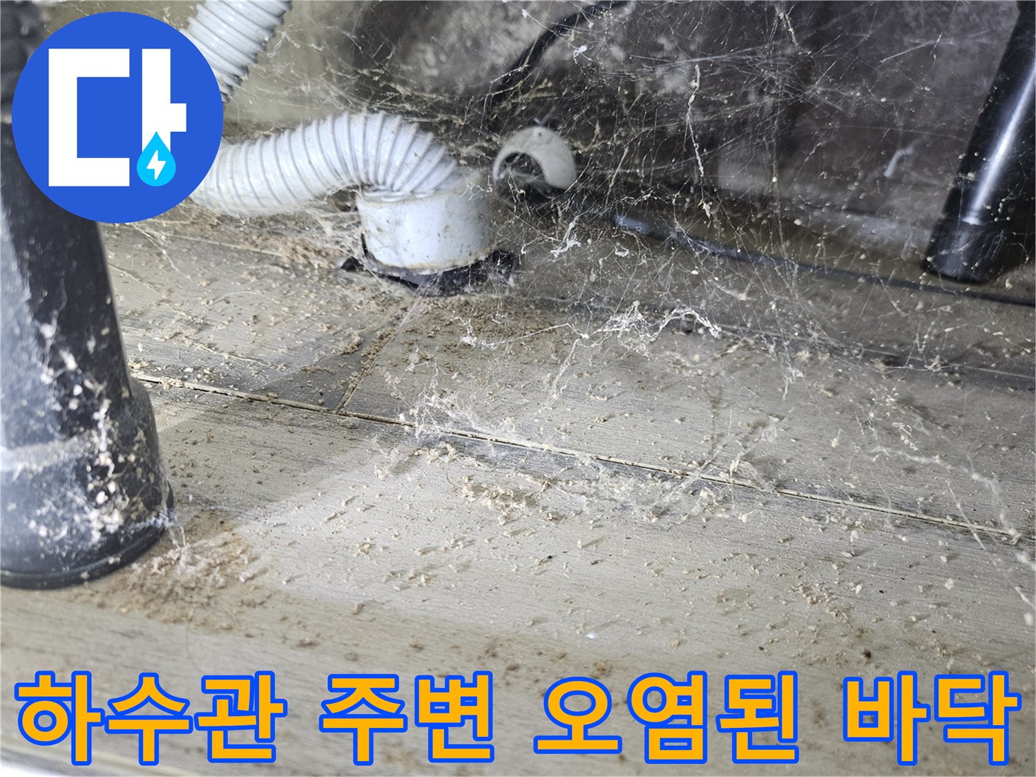세탁기 배수 호스 아래 하수관 입구의 습한 상태를 보여줌