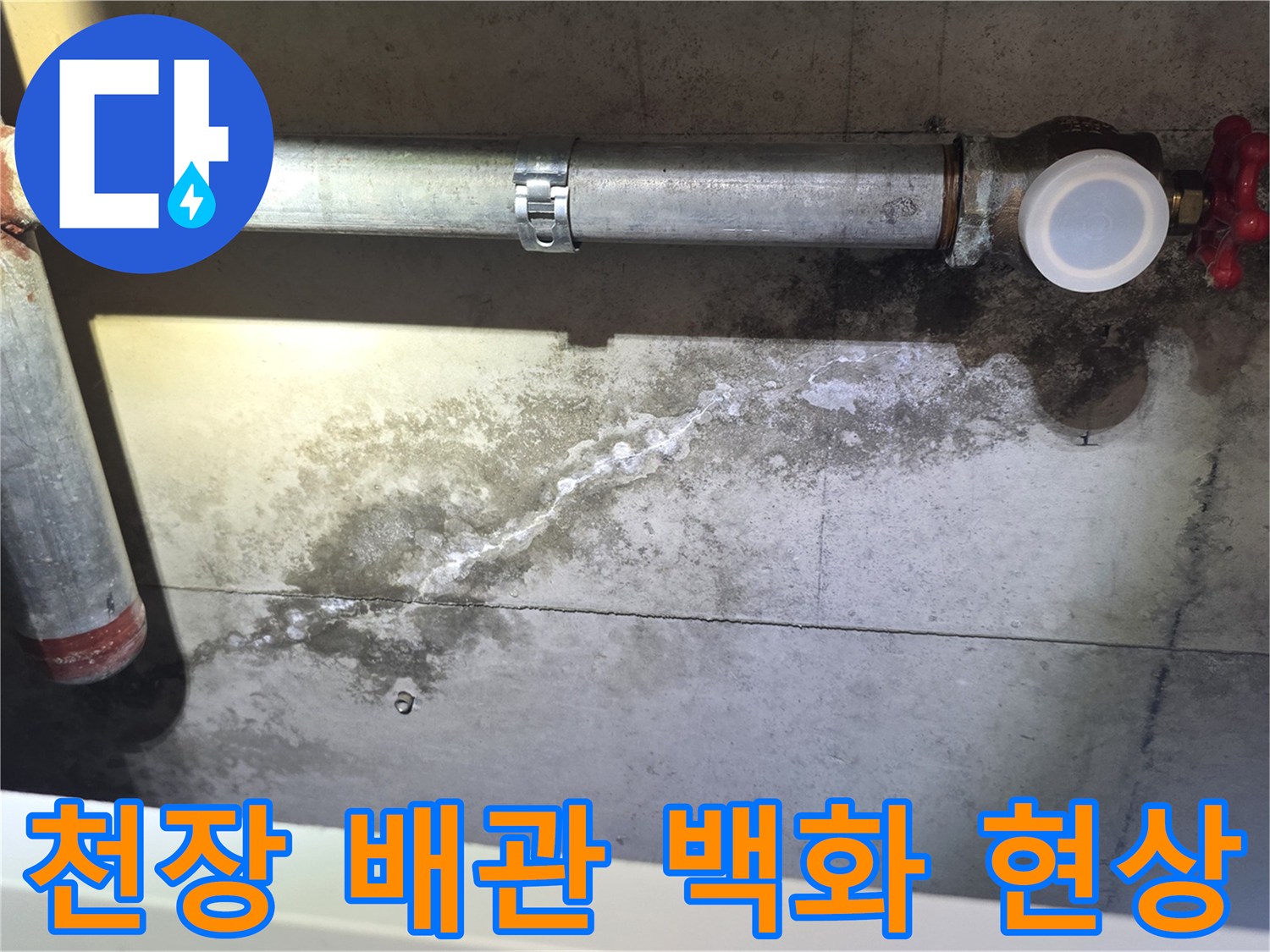 물샘 흔적으로 인해 하얗게 변한 배관 주변 콘크리트