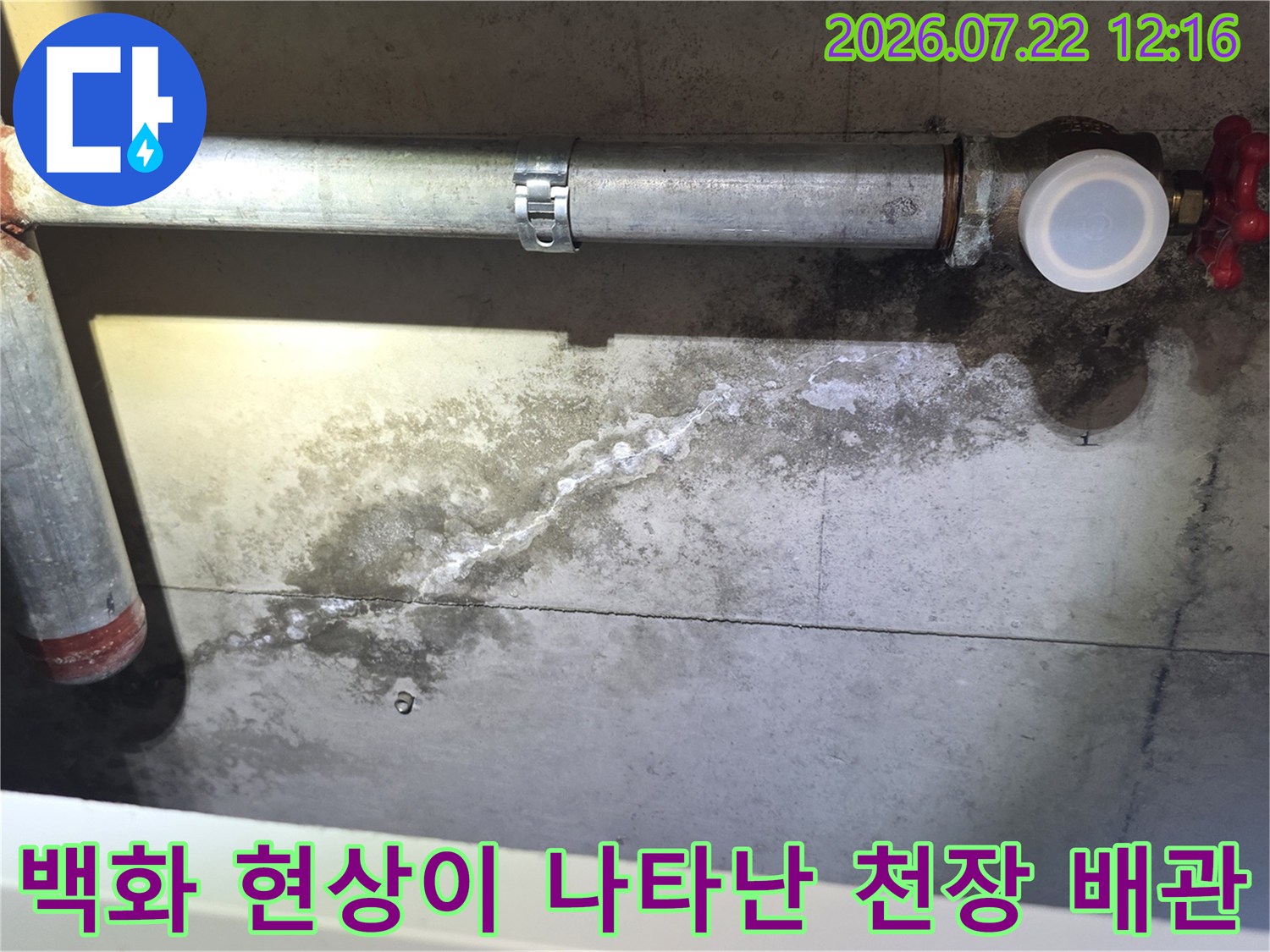흰색 백화 현상과 물자국이 길게 형성된 콘크리트 천장과 금속 배관의 모습