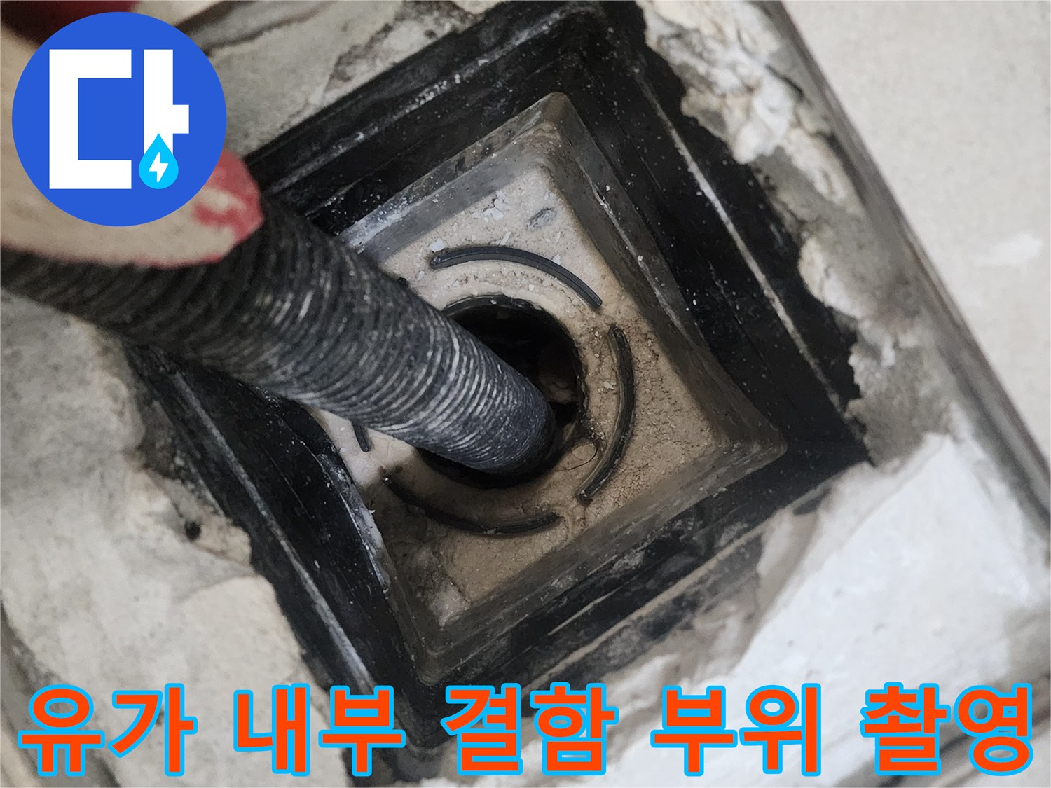 배수관 주변의 틈새와 물길이 될 수 있는 부위 확인