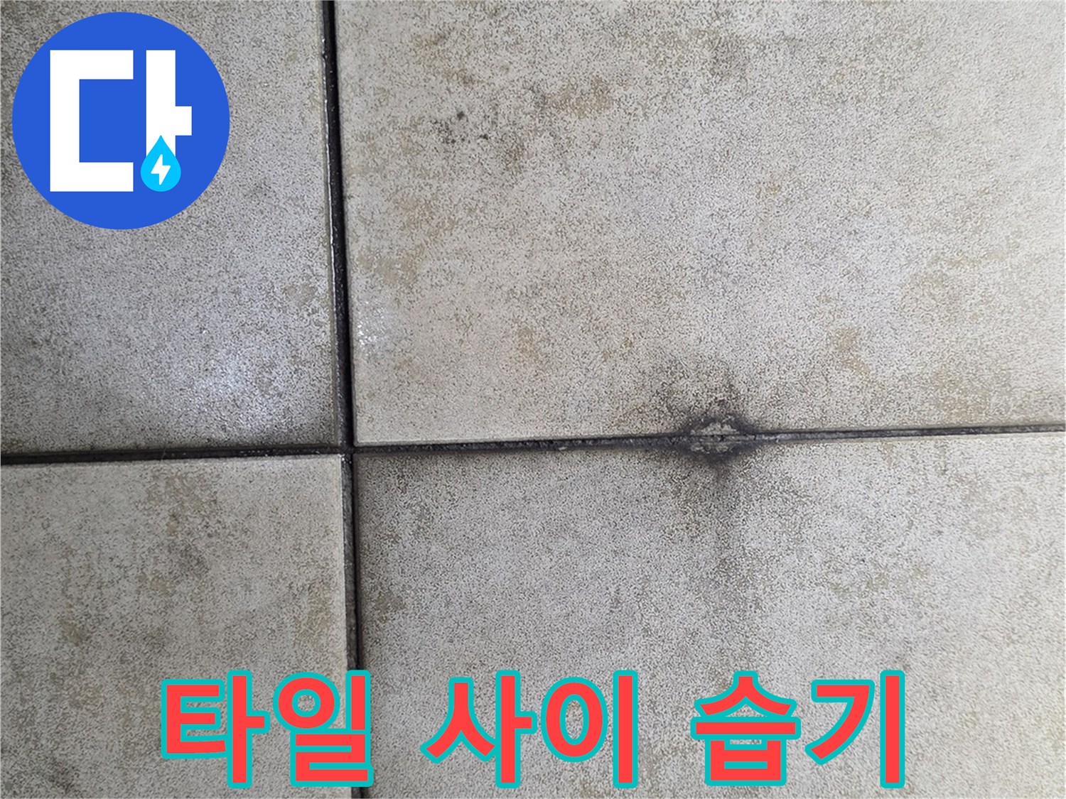 물기에-젖어-색이-변한-타일-줄눈