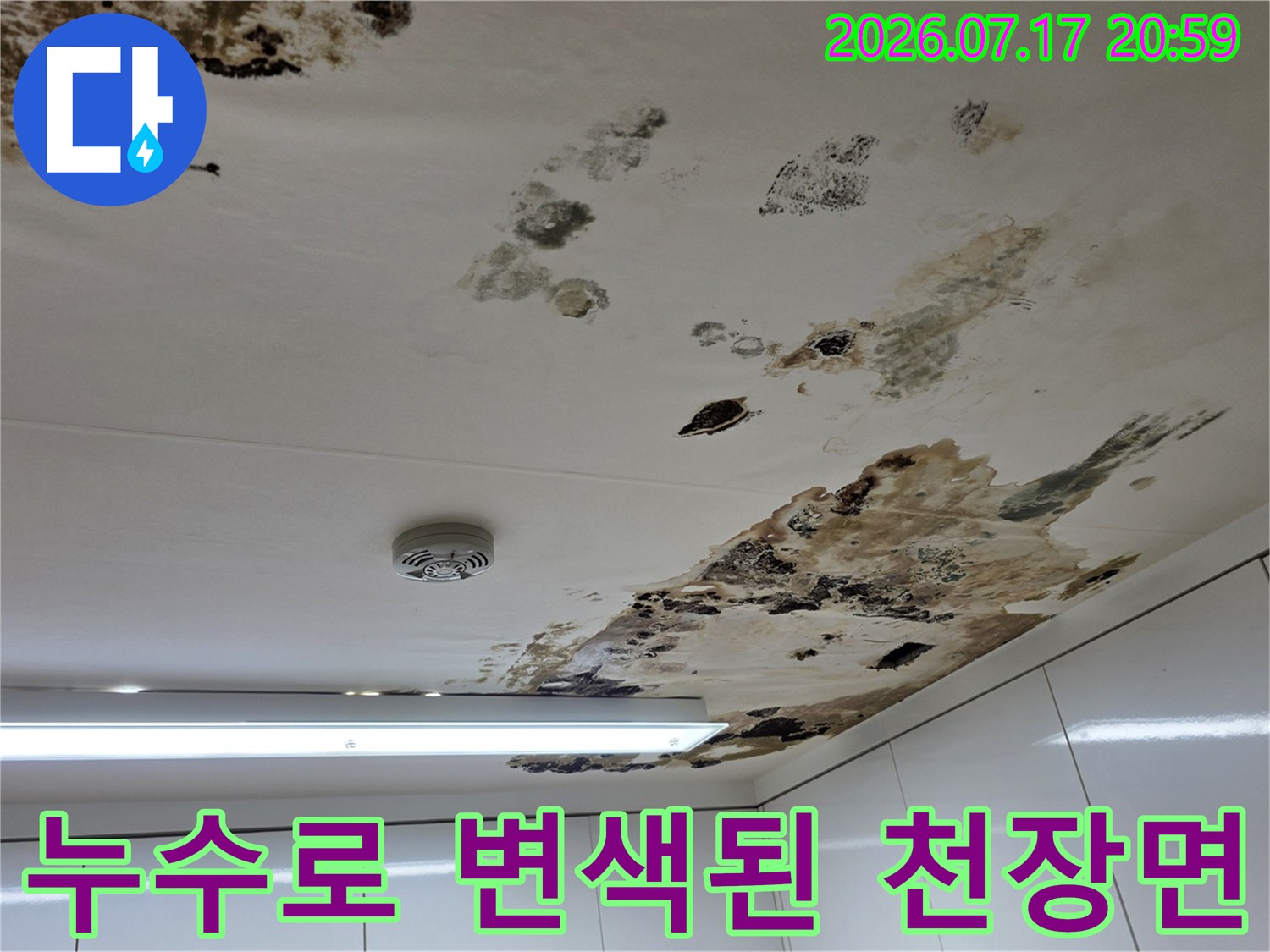 계속되는침수로인해변색되고곰팡이가생긴천장윗면