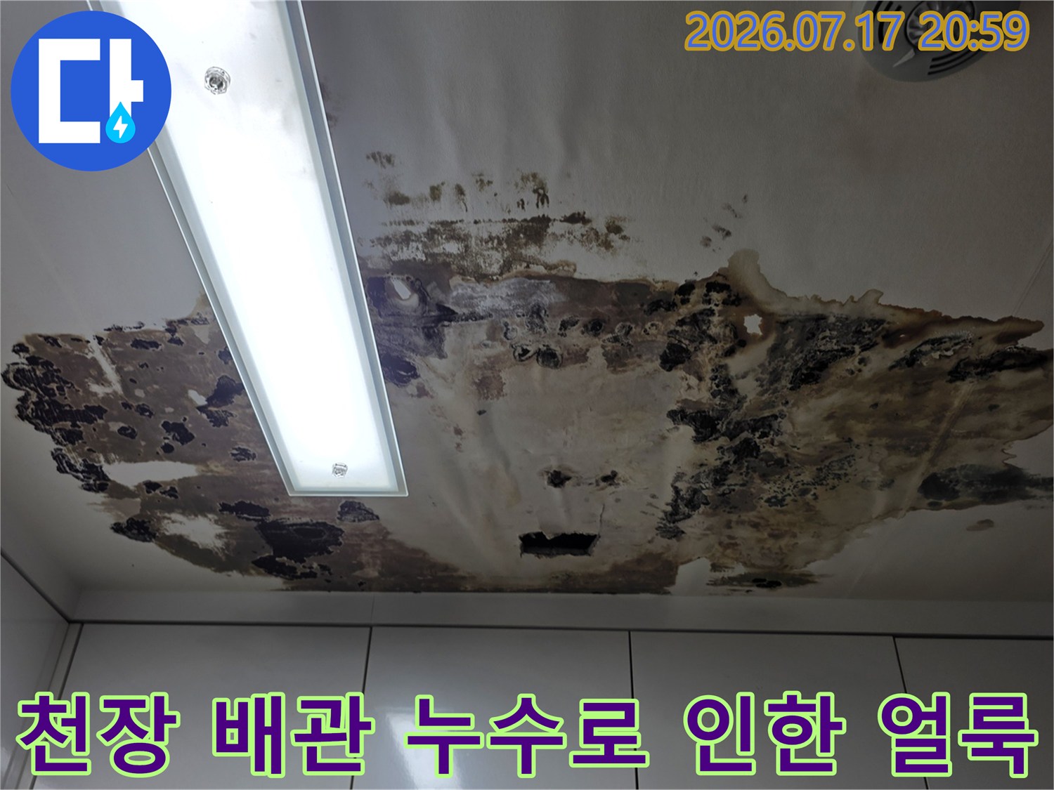 노후된 천장 마감재에 가득한 물샘 흔적과 오염 부위