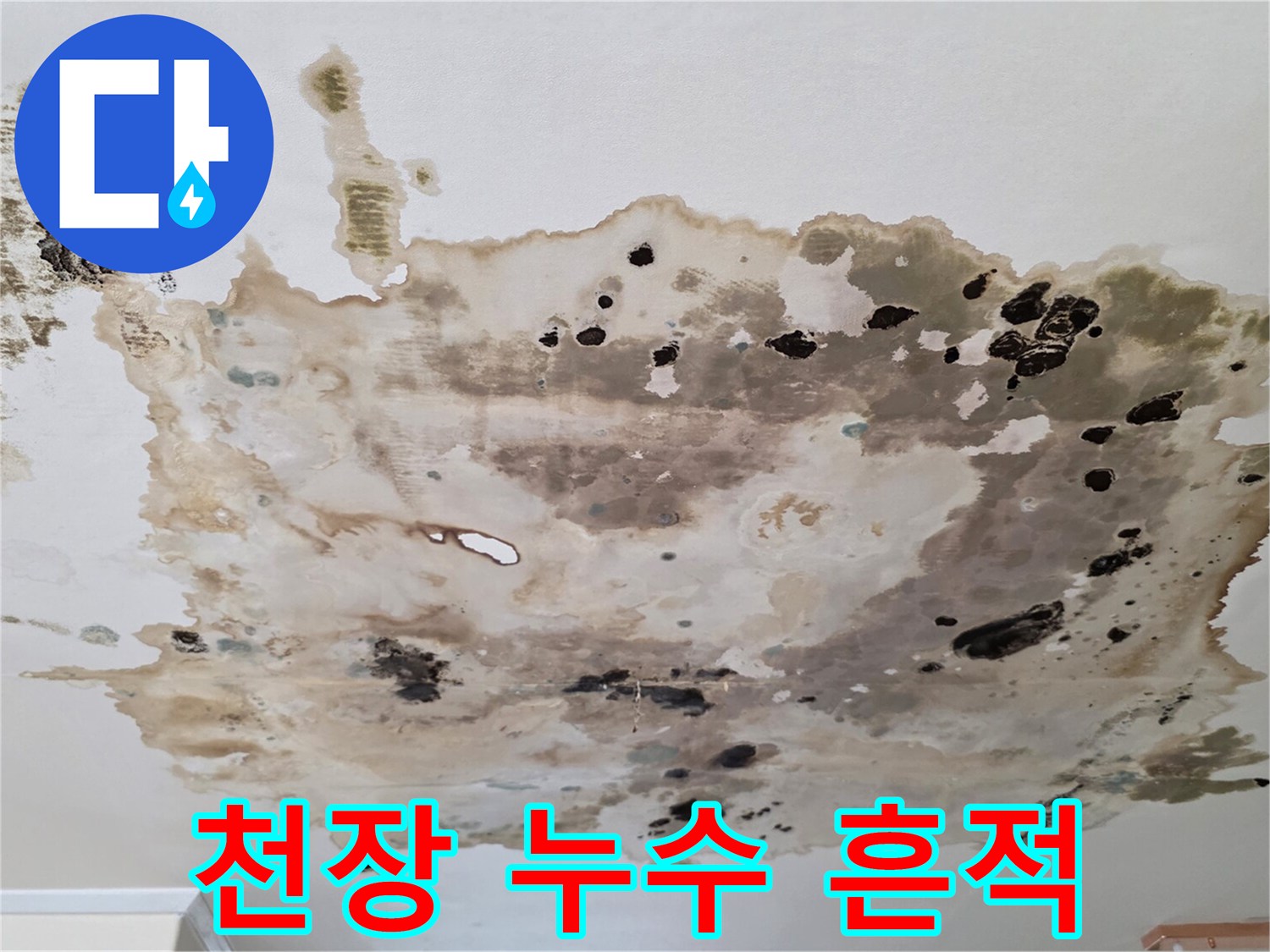 물기에-젖어-검게-변한-천장-마감면