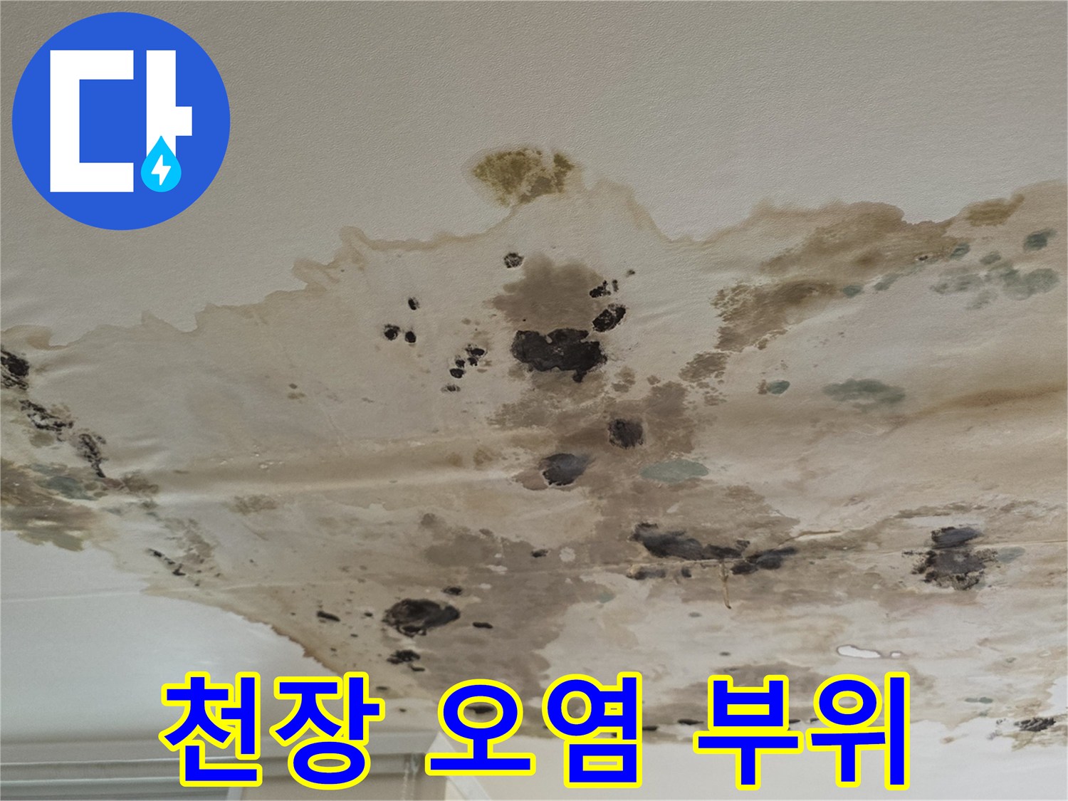 물샘-피해로-누렇게-번진-천장-마감재-상태