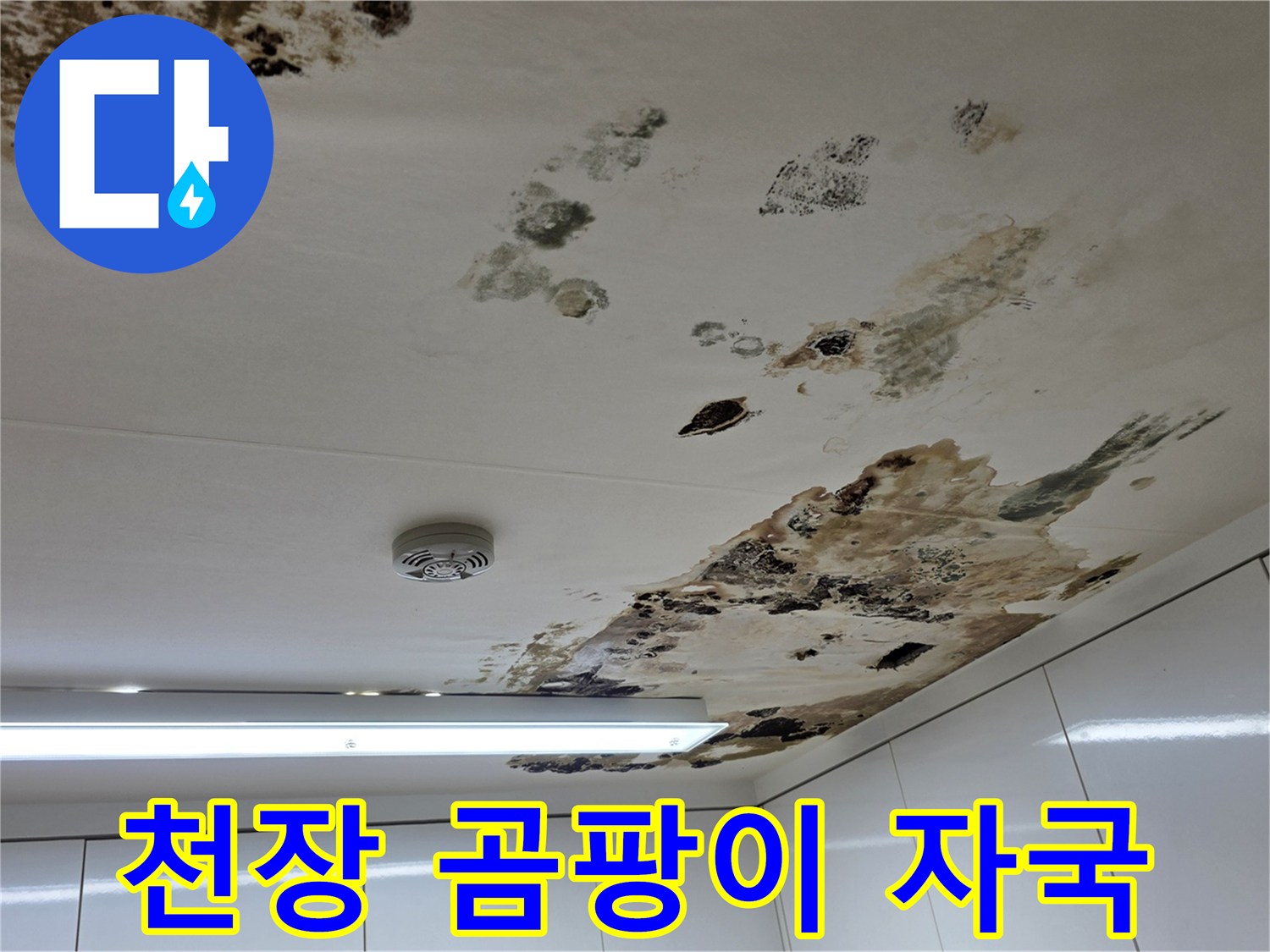 물샘으로-인해-발생한-천장의-심한-오염