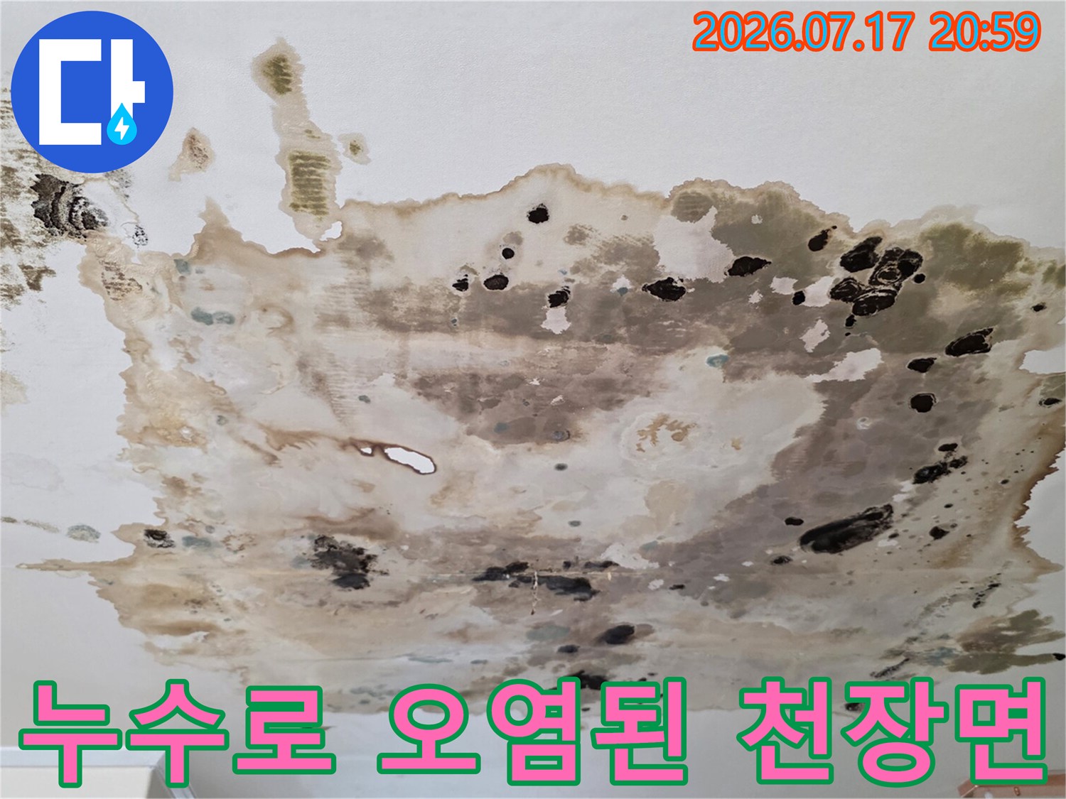 상부의 배관 누수가 지속되며 하층 천장에 곰팡이와 얼룩을 발생시킨 현장