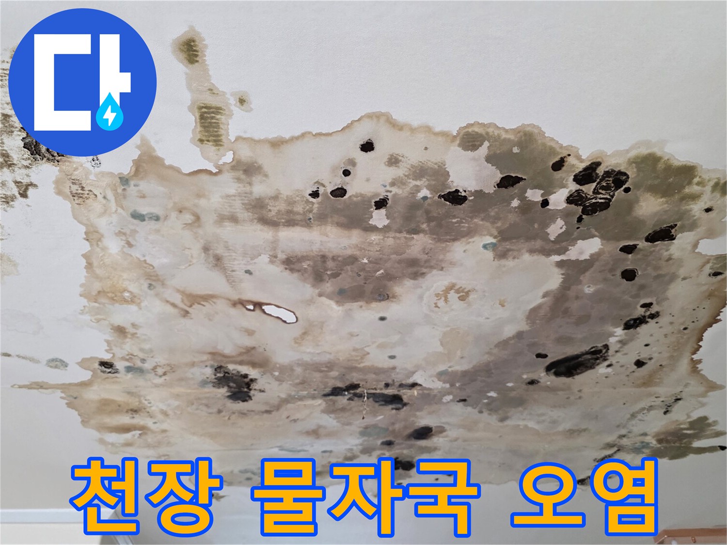 심각하게-변색된-아파트-천장-누수-흔적-사진