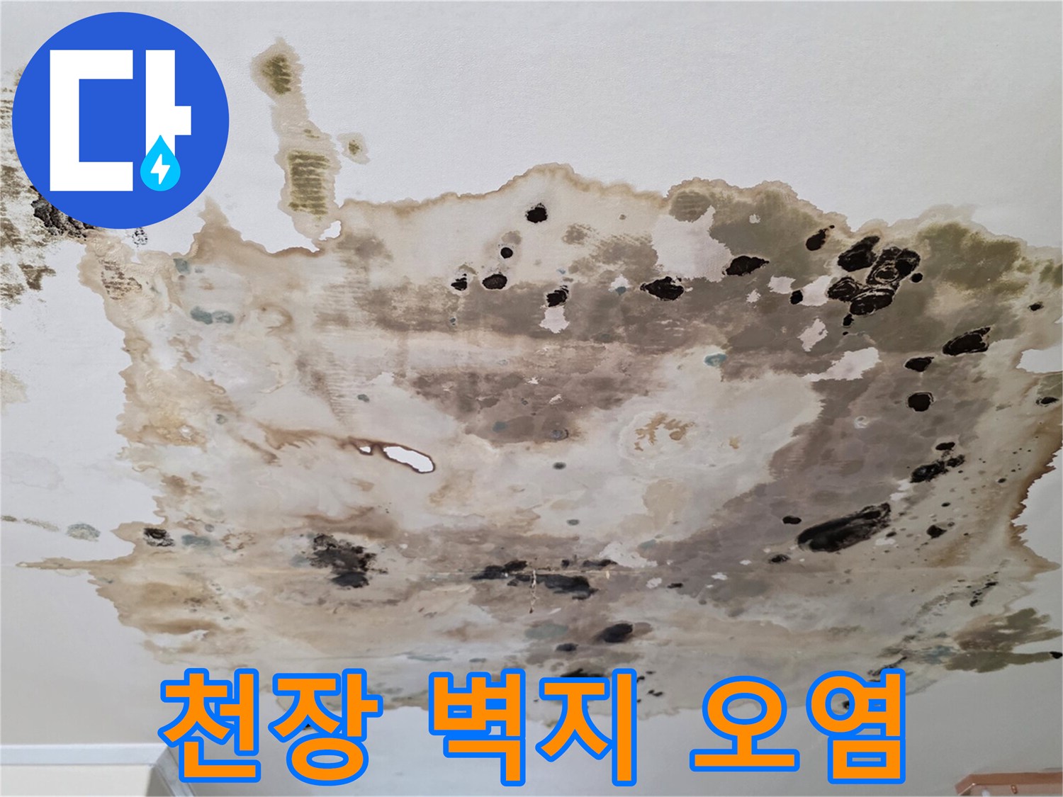 심하게-얼룩진-천장-벽지-상태
