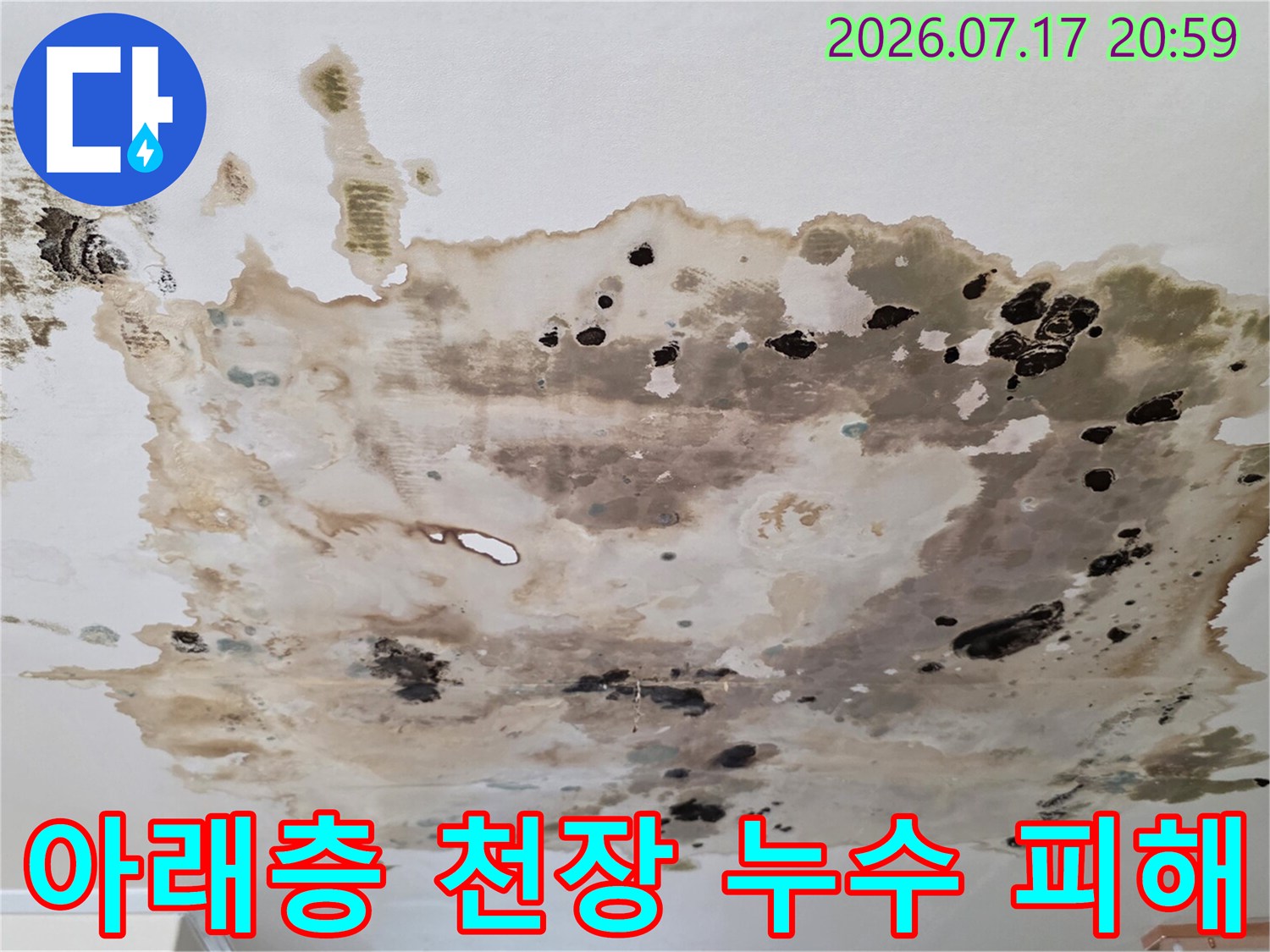 오랜 기간 지속된 누수로 인해 심하게 변색되고 곰팡이가 발생한 천장면