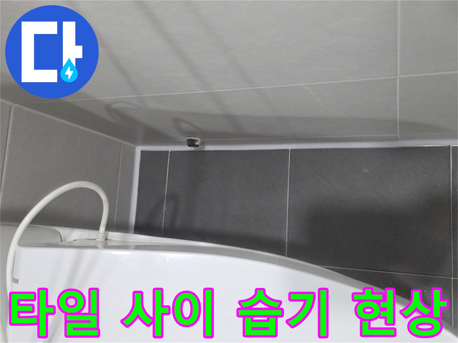 욕실-타일-경계부-젖은-모습