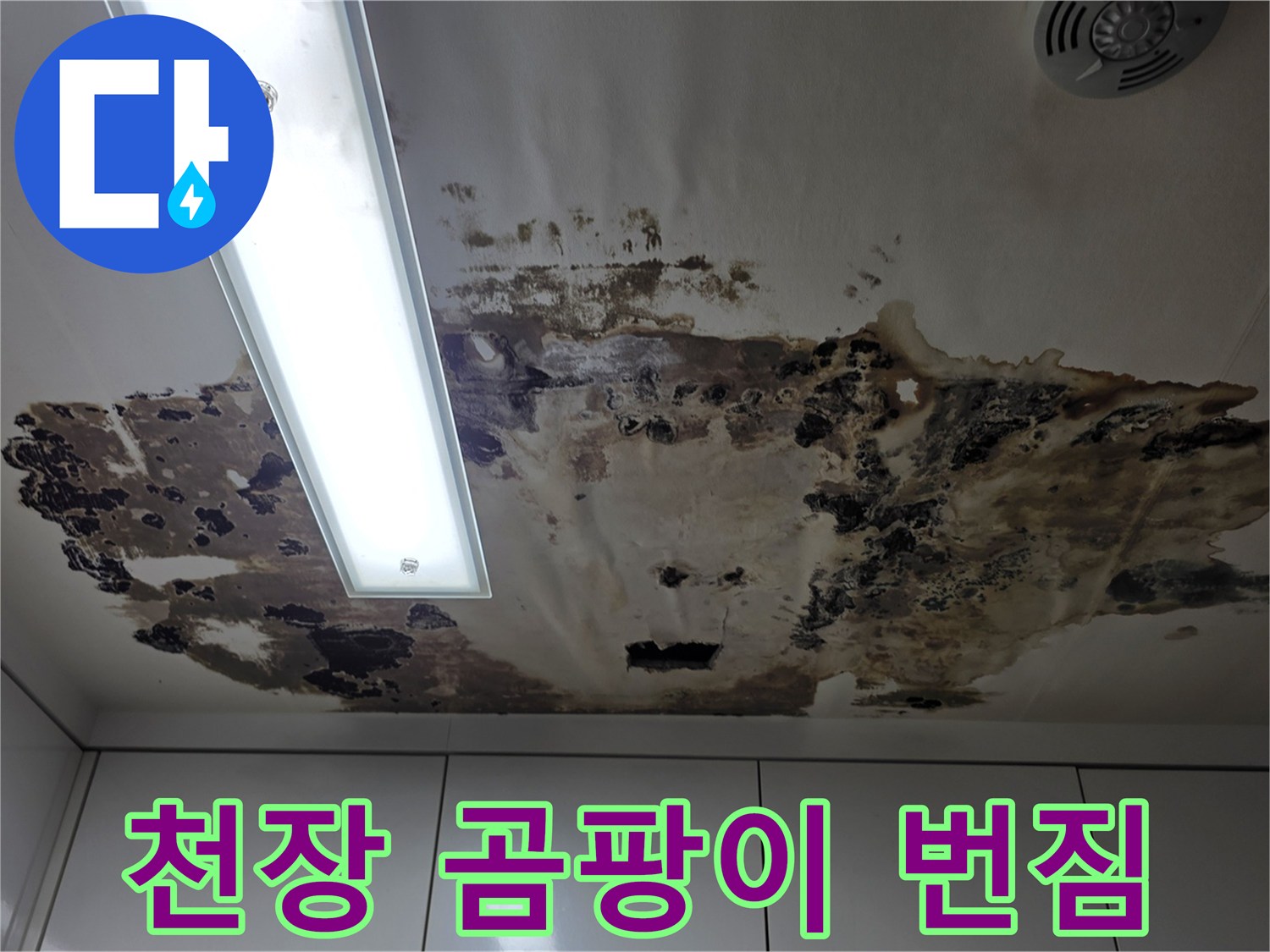 천장 마감재에 발생한 넓은 범위의 곰팡이 얼룩