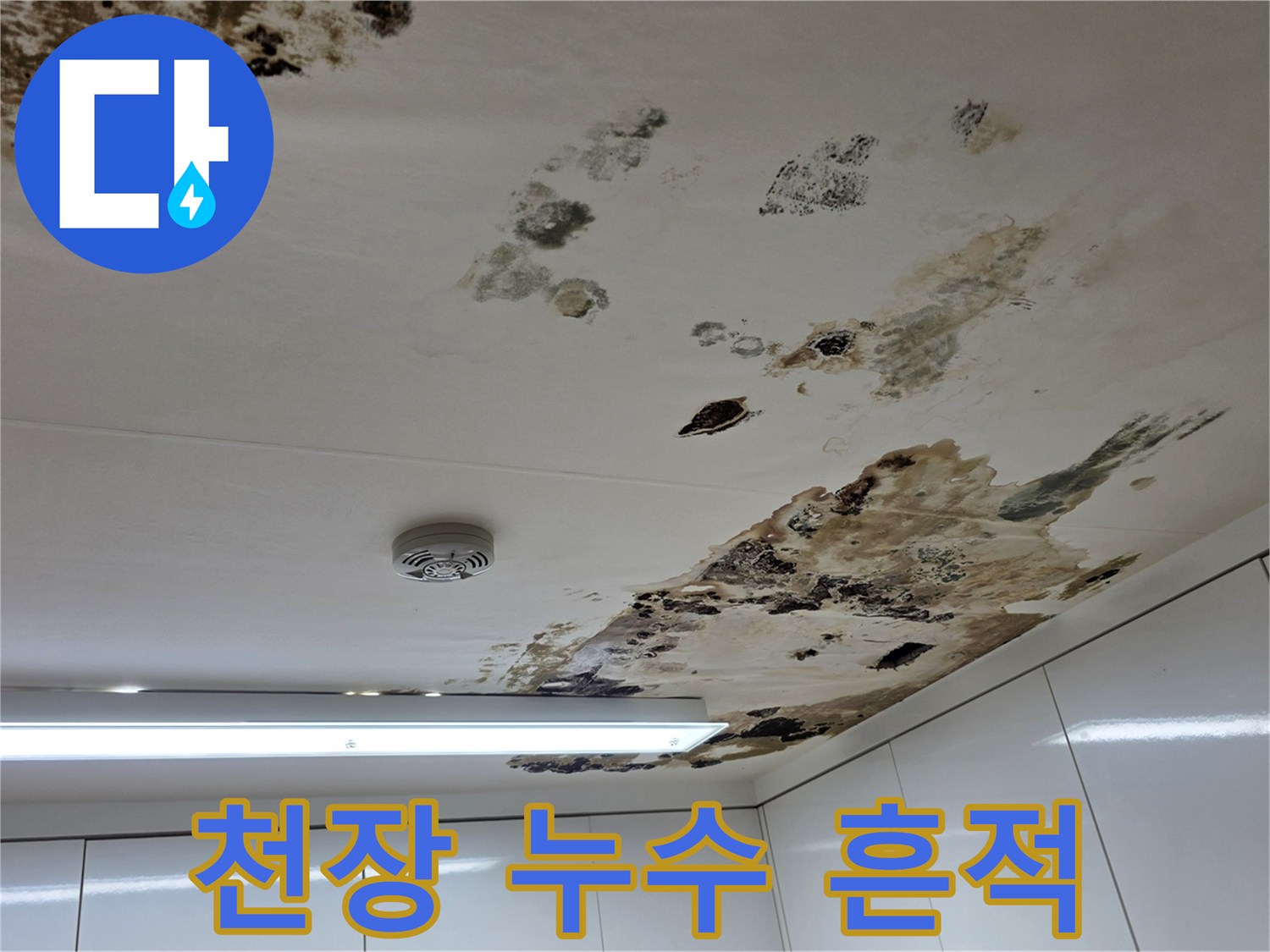천장-마감재에-스며든-물과-곰팡이-자국